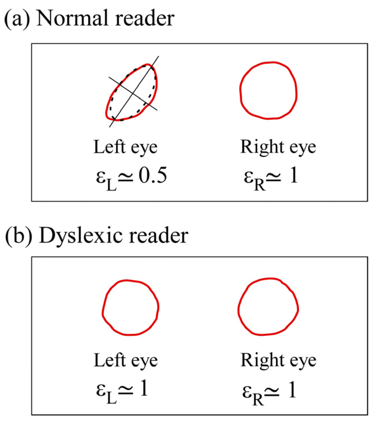 Brainsci 13 01478 g001