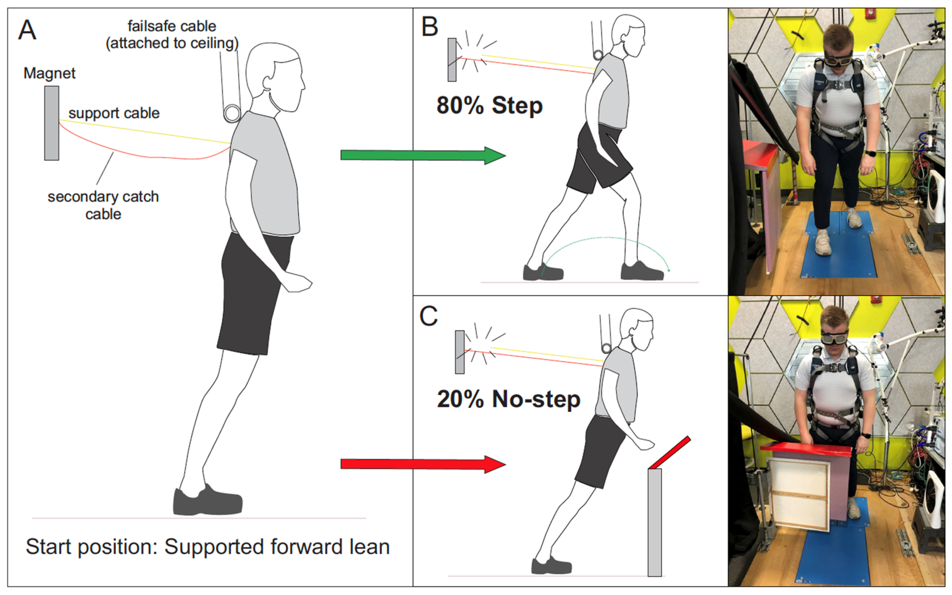 Brainsci 13 01488 g001