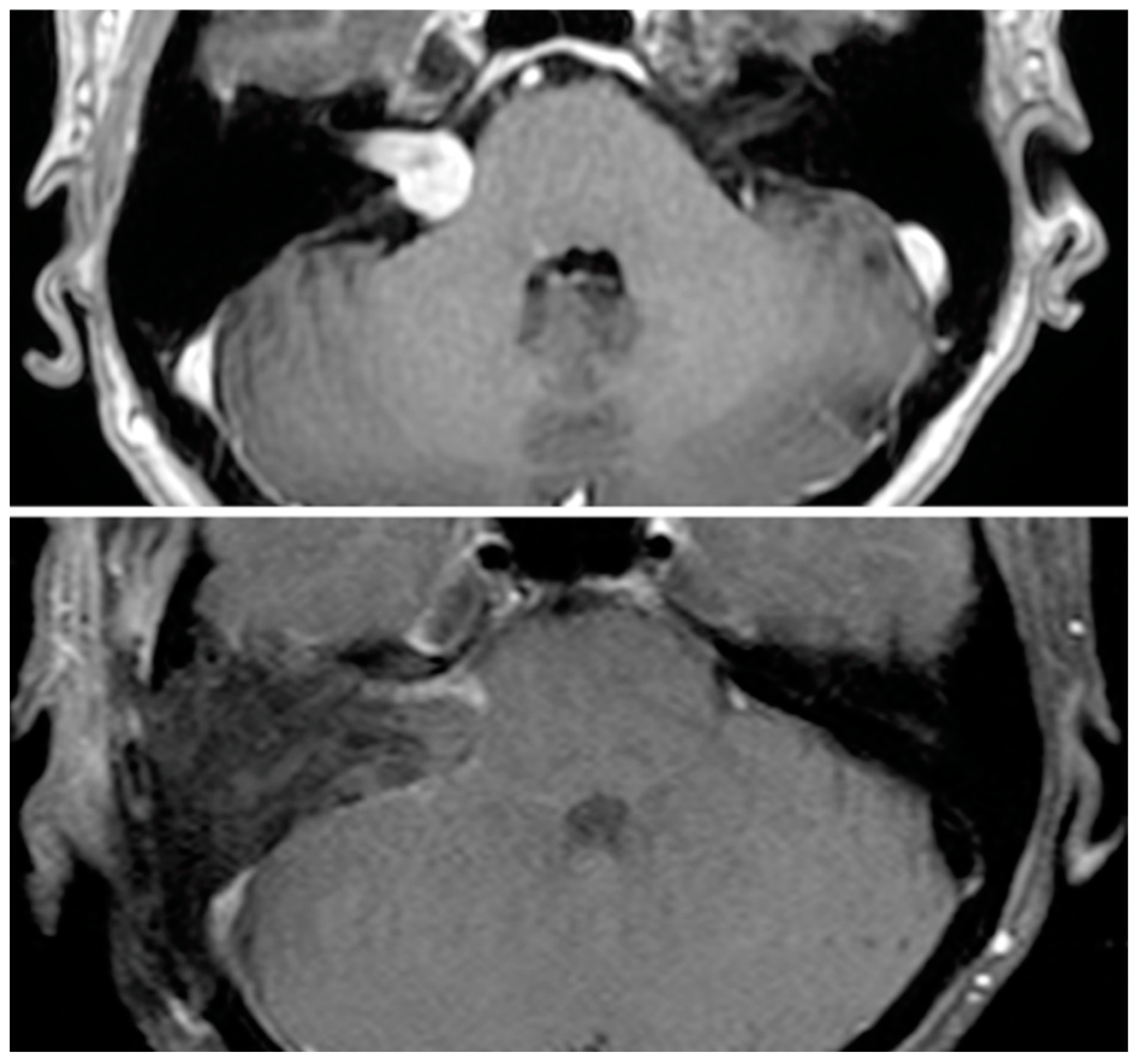 Brainsci 13 01490 g001
