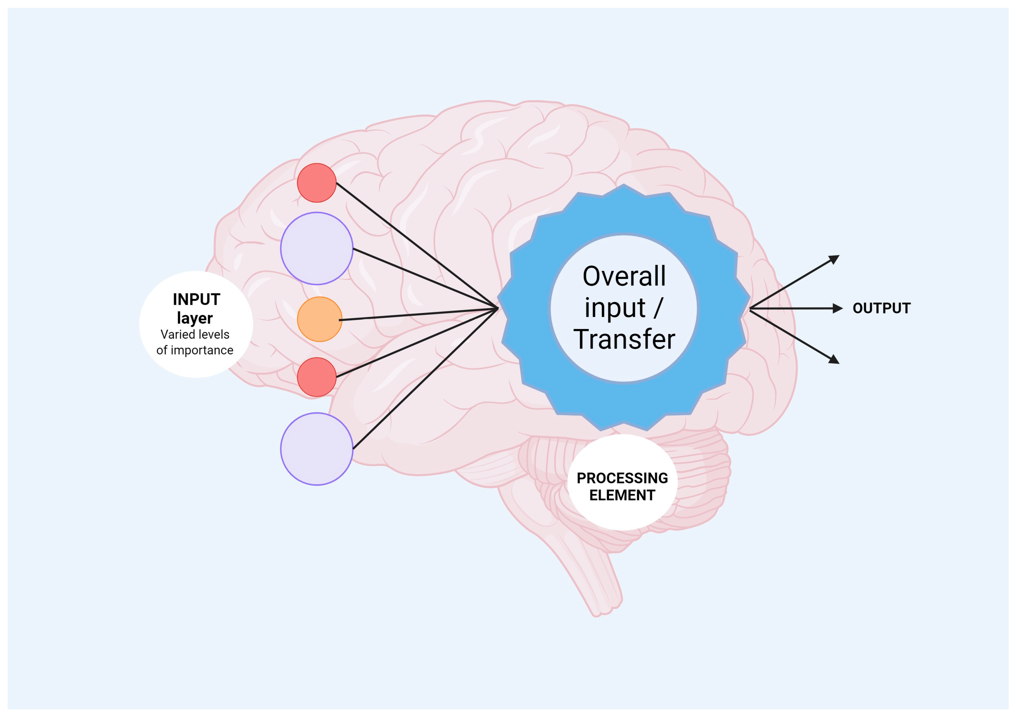 Brainsci 13 01495 g002 Brainsci 13 01495 g002