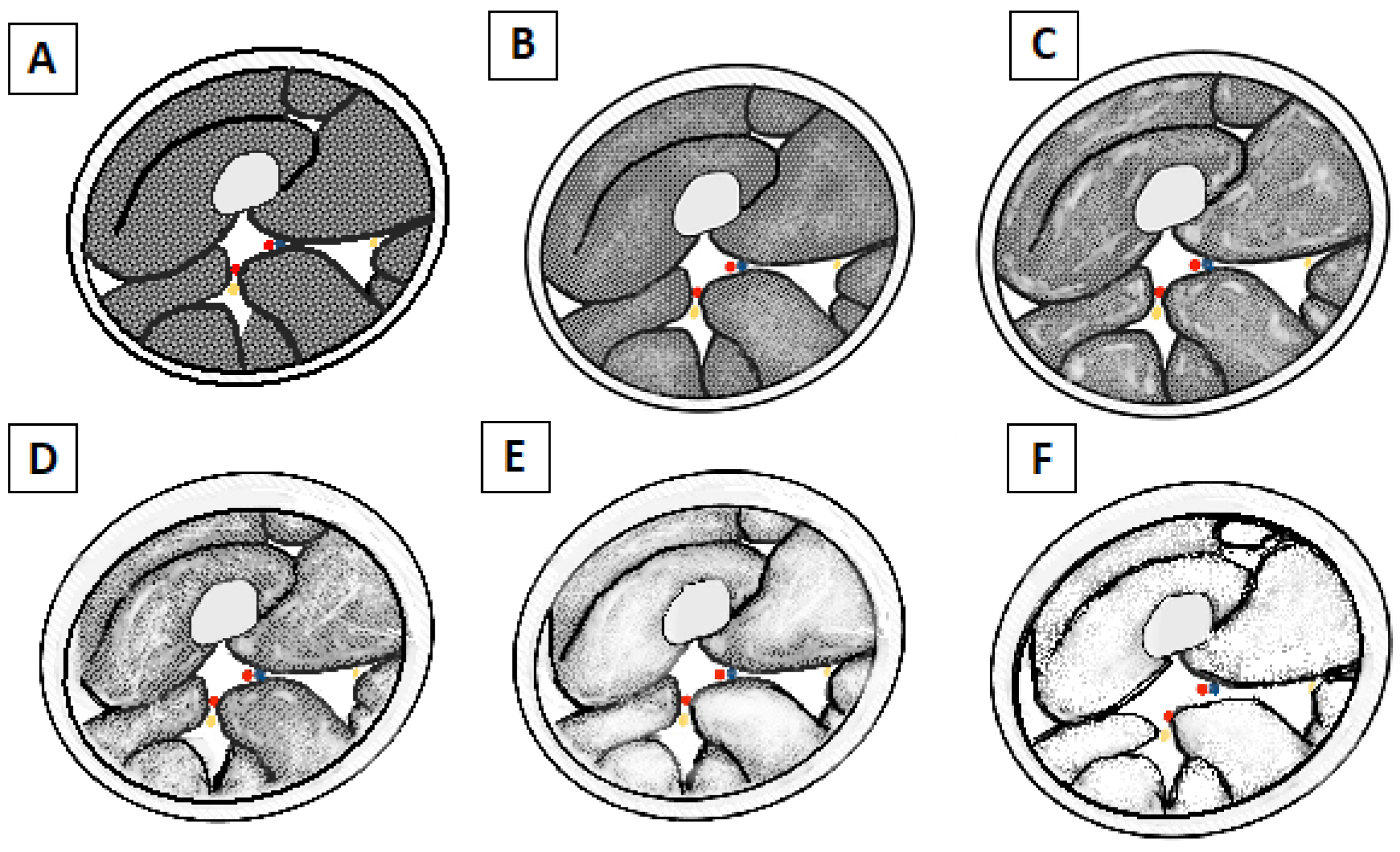 Usefulness and Clinical Impact of ... Biology Diagrams