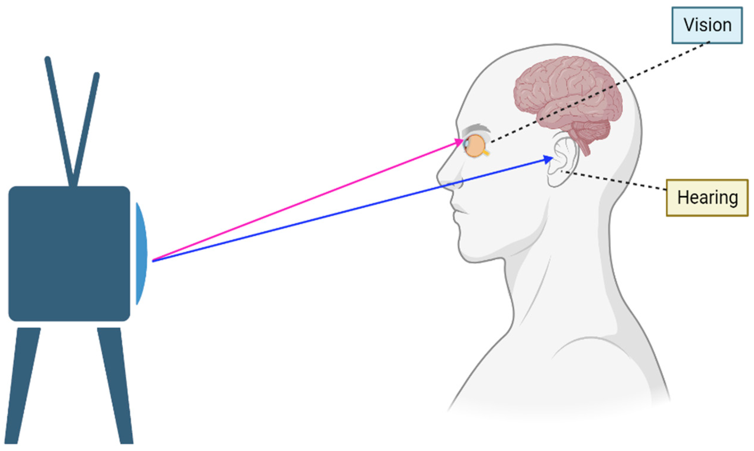 Brainsci 13 01504 g001