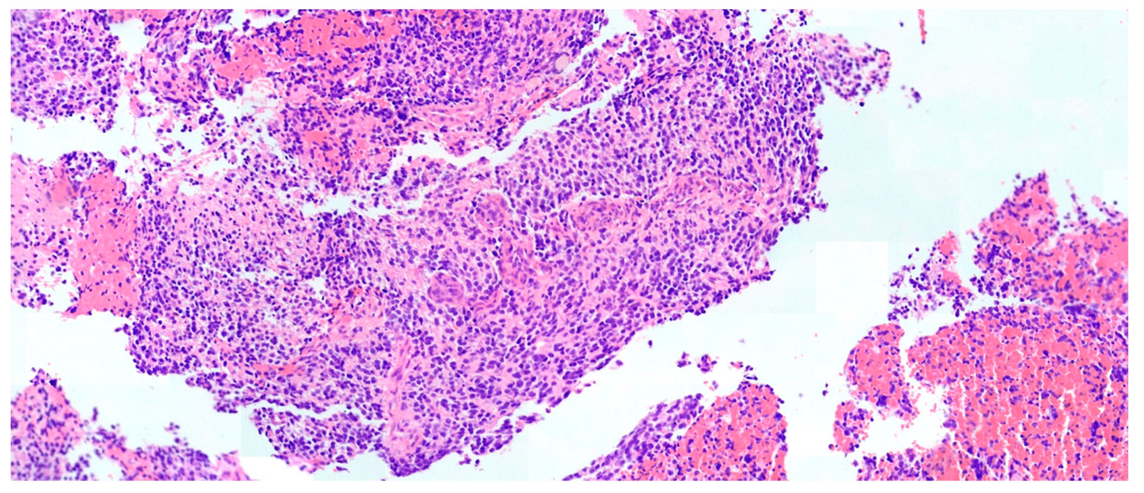 Brainsci 13 01515 g002