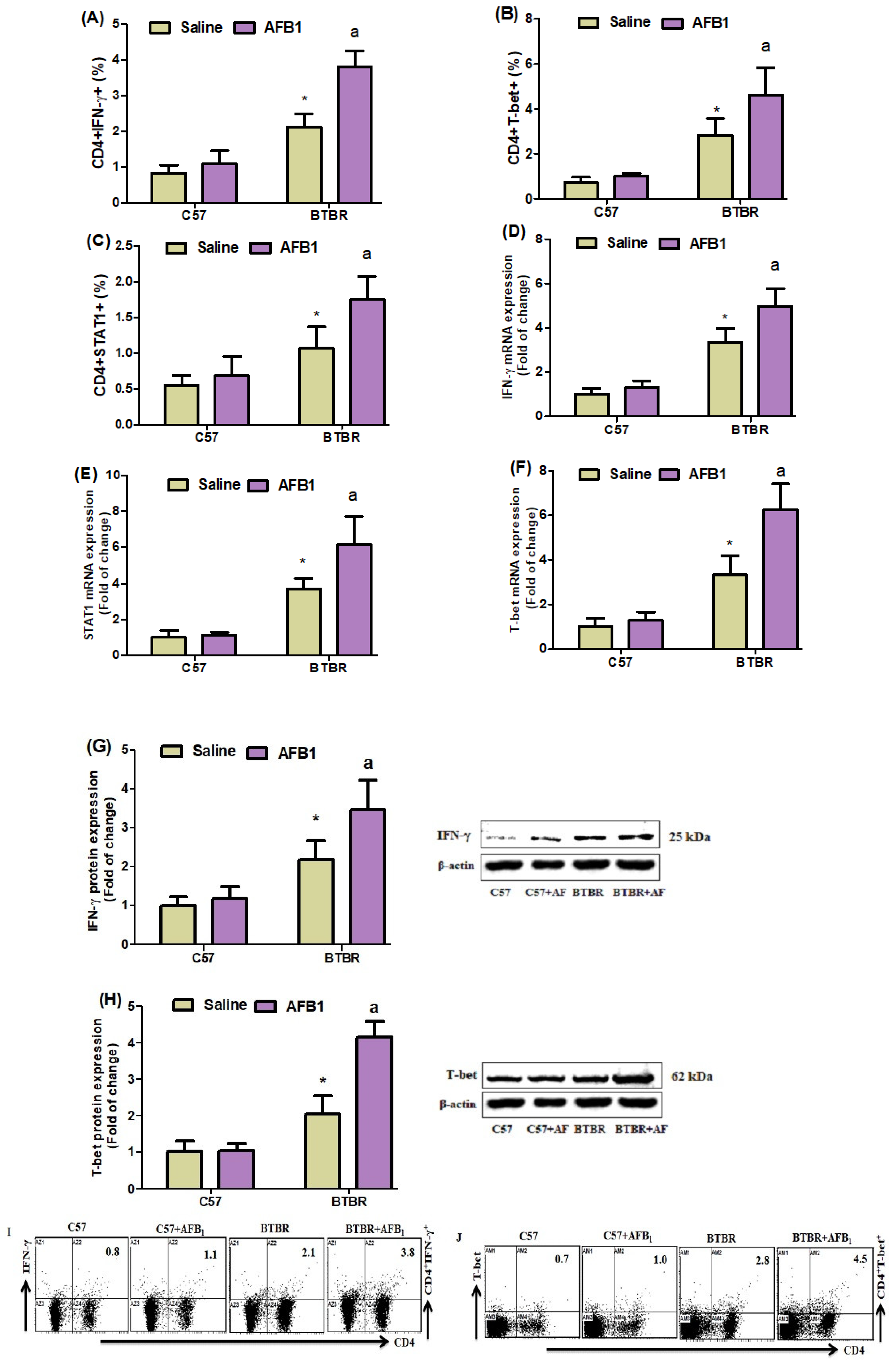 Brainsci 13 01519 g003