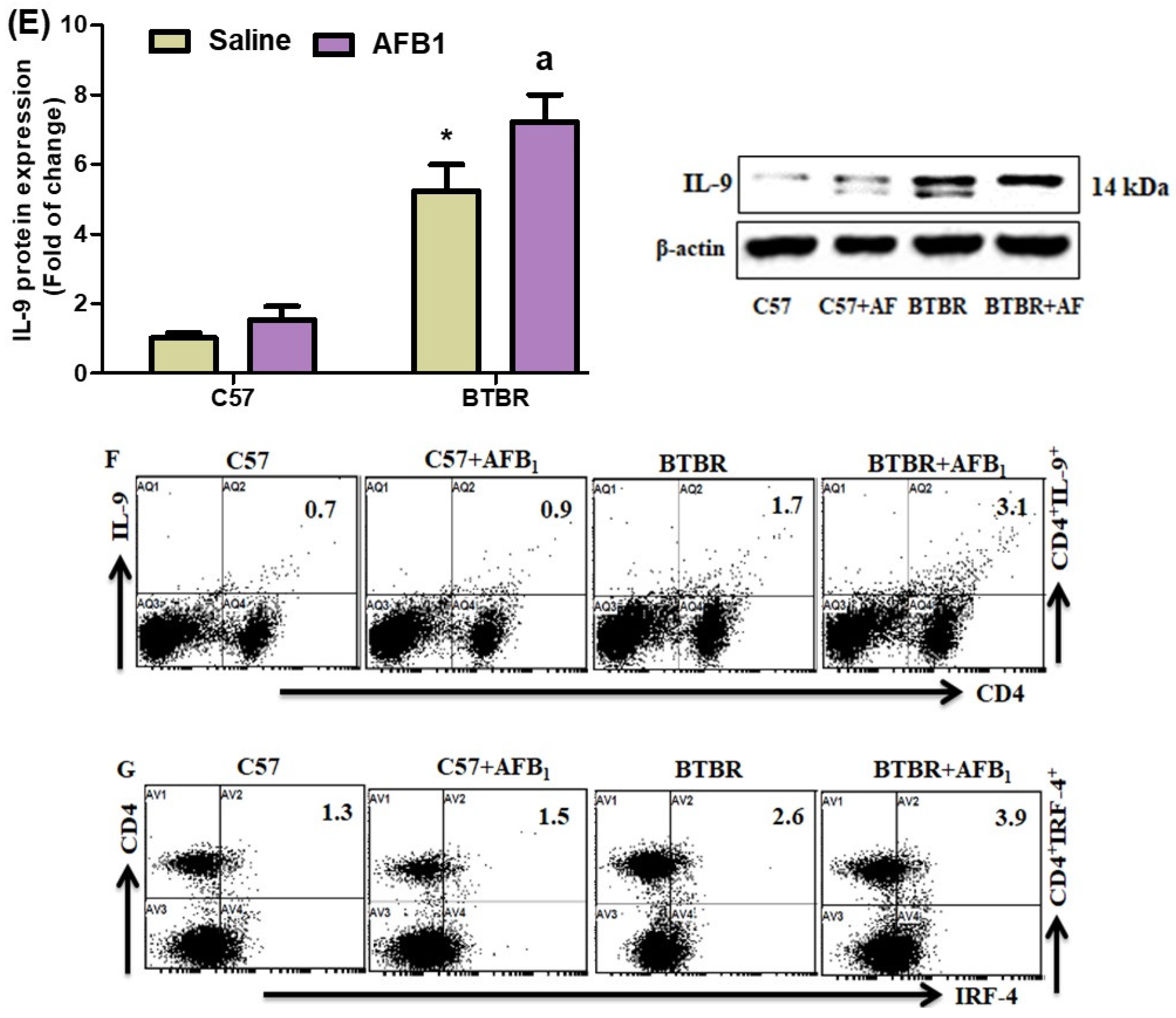 Brainsci 13 01519 g004b