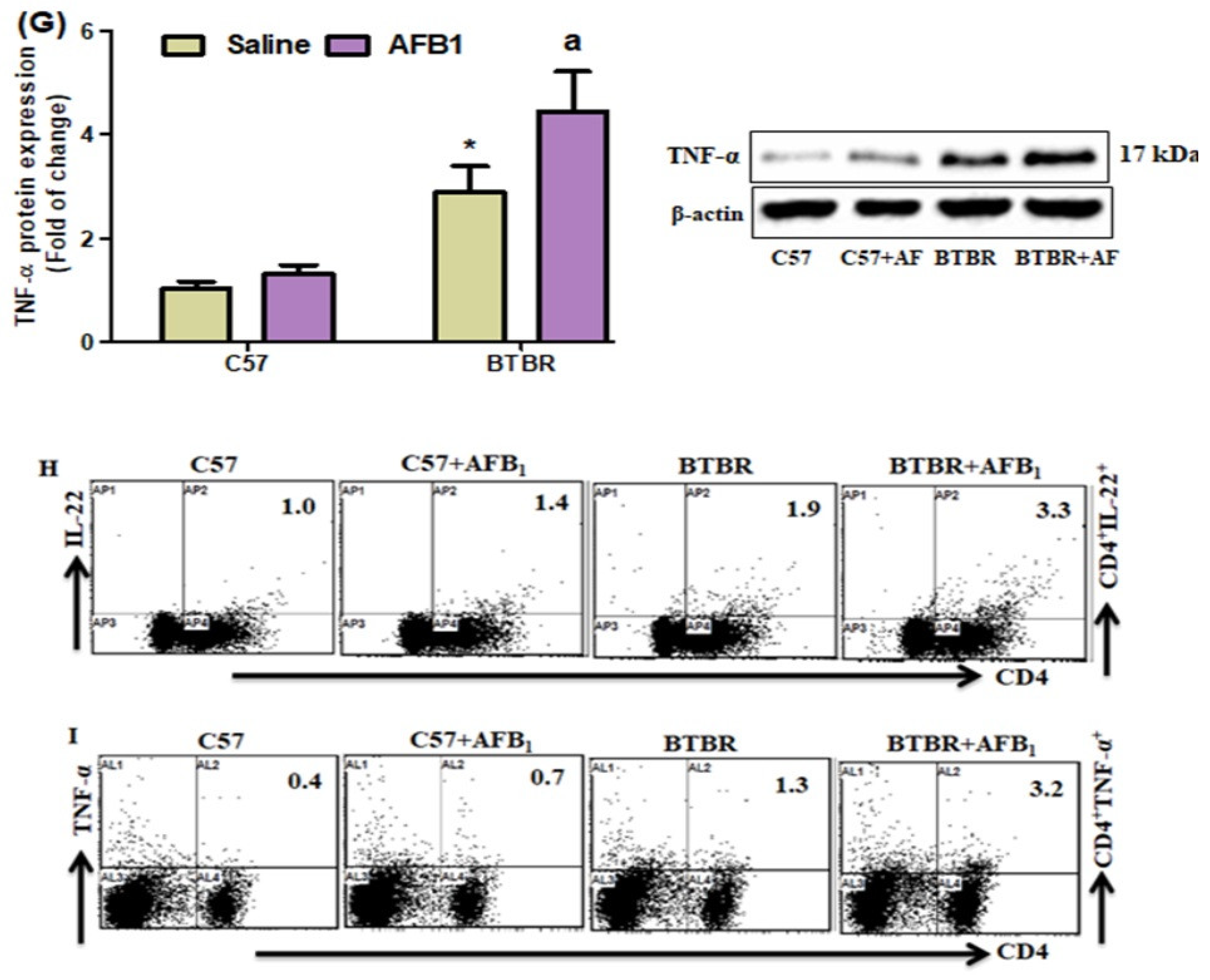 Brainsci 13 01519 g006b