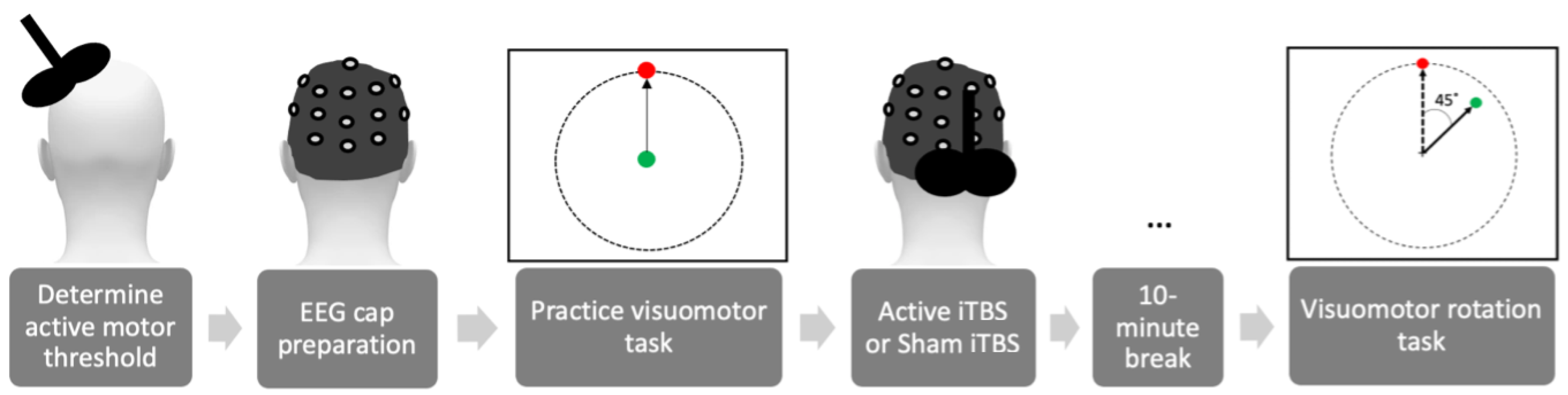 Brainsci 13 01523 g001