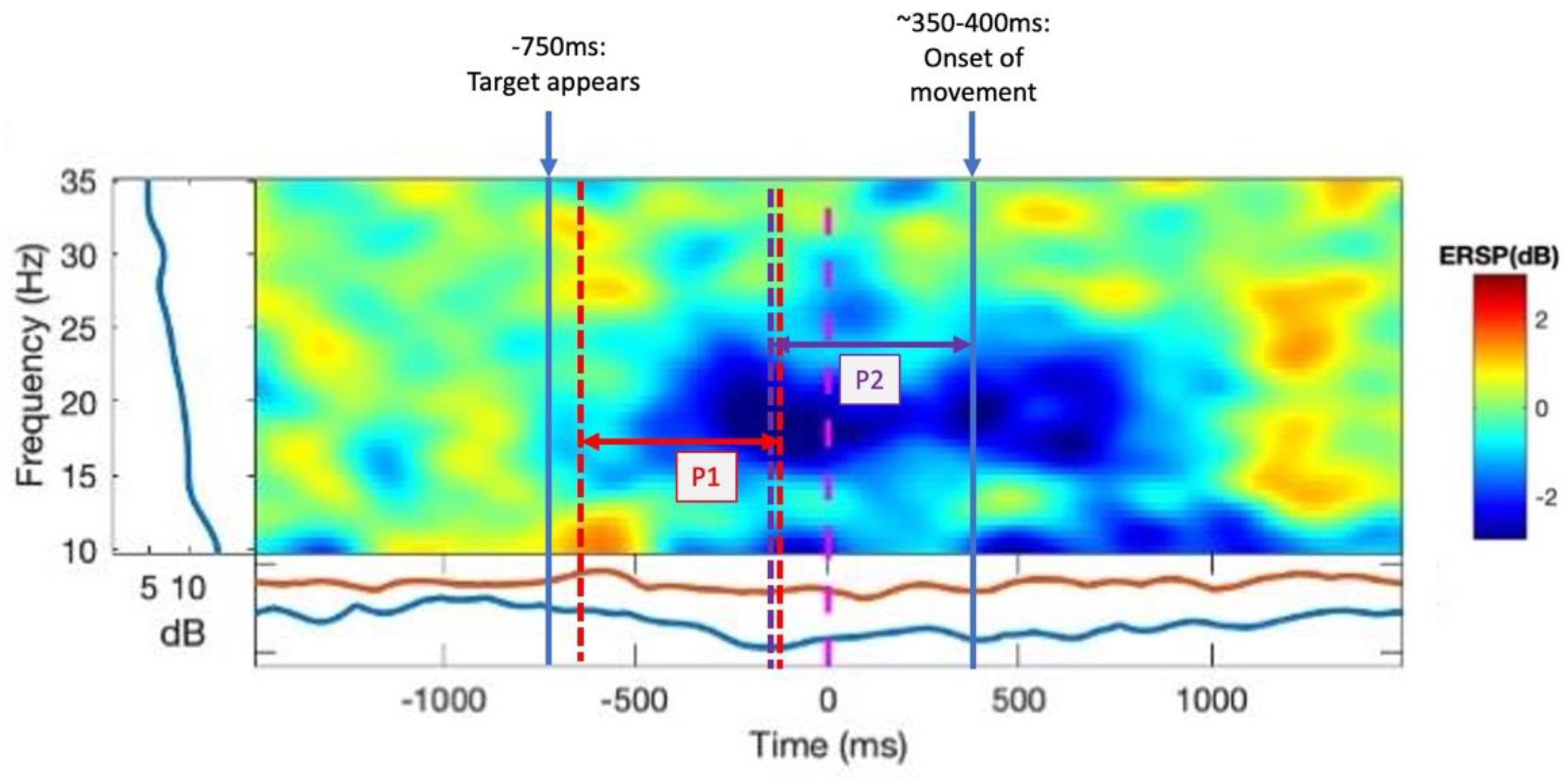 Brainsci 13 01523 g003
