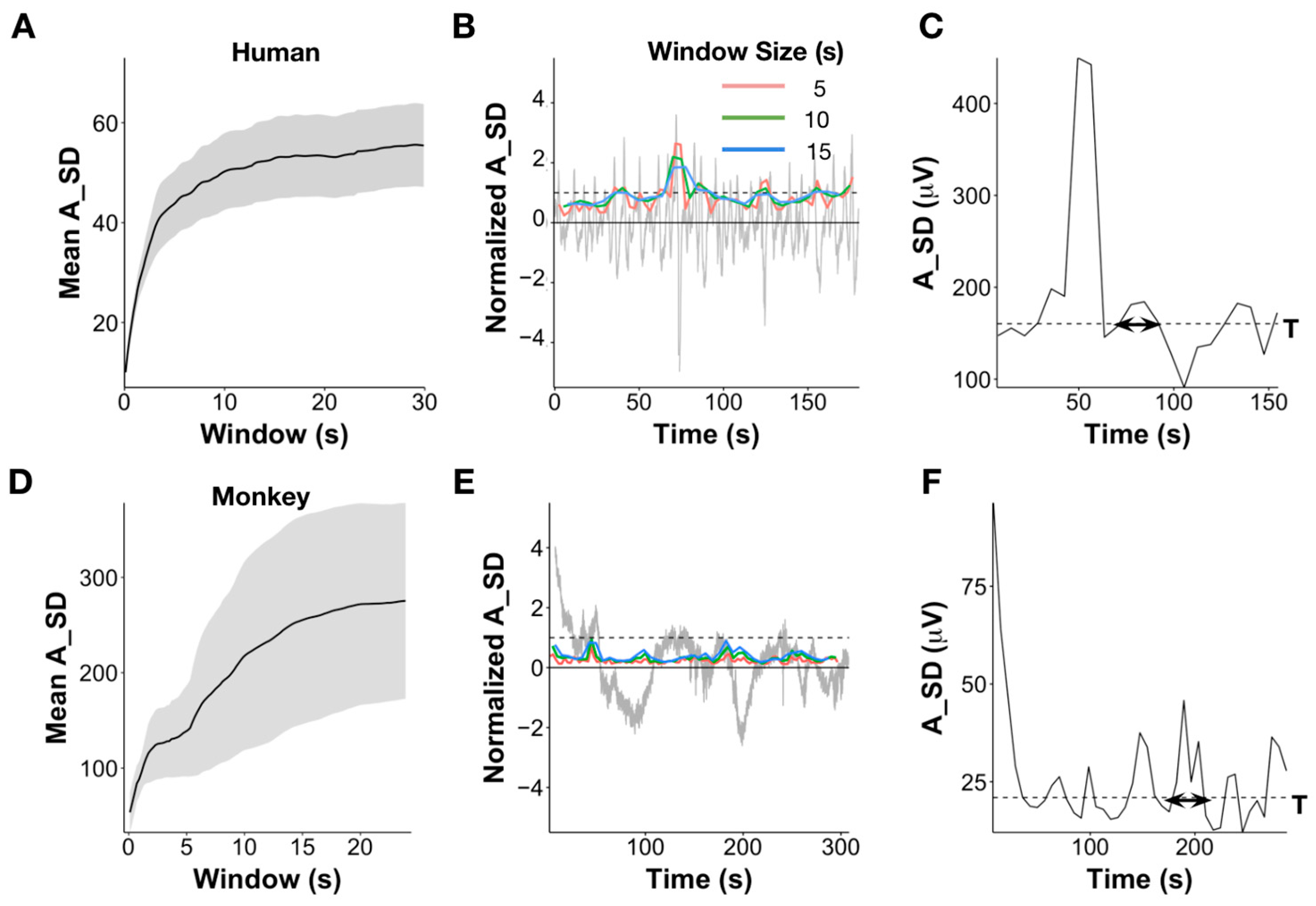 High Variability Periods in the EEG Distinguish Cognitive