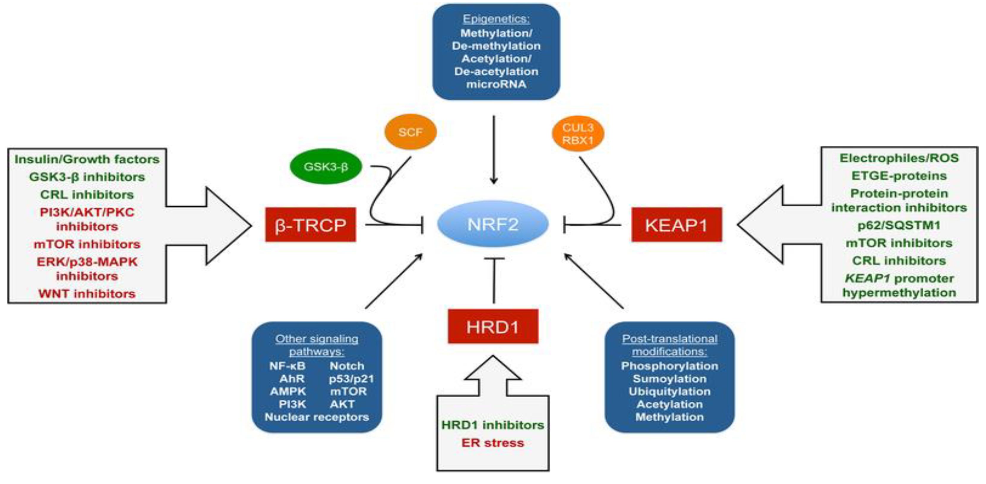 Brainsci 13 01532 g002