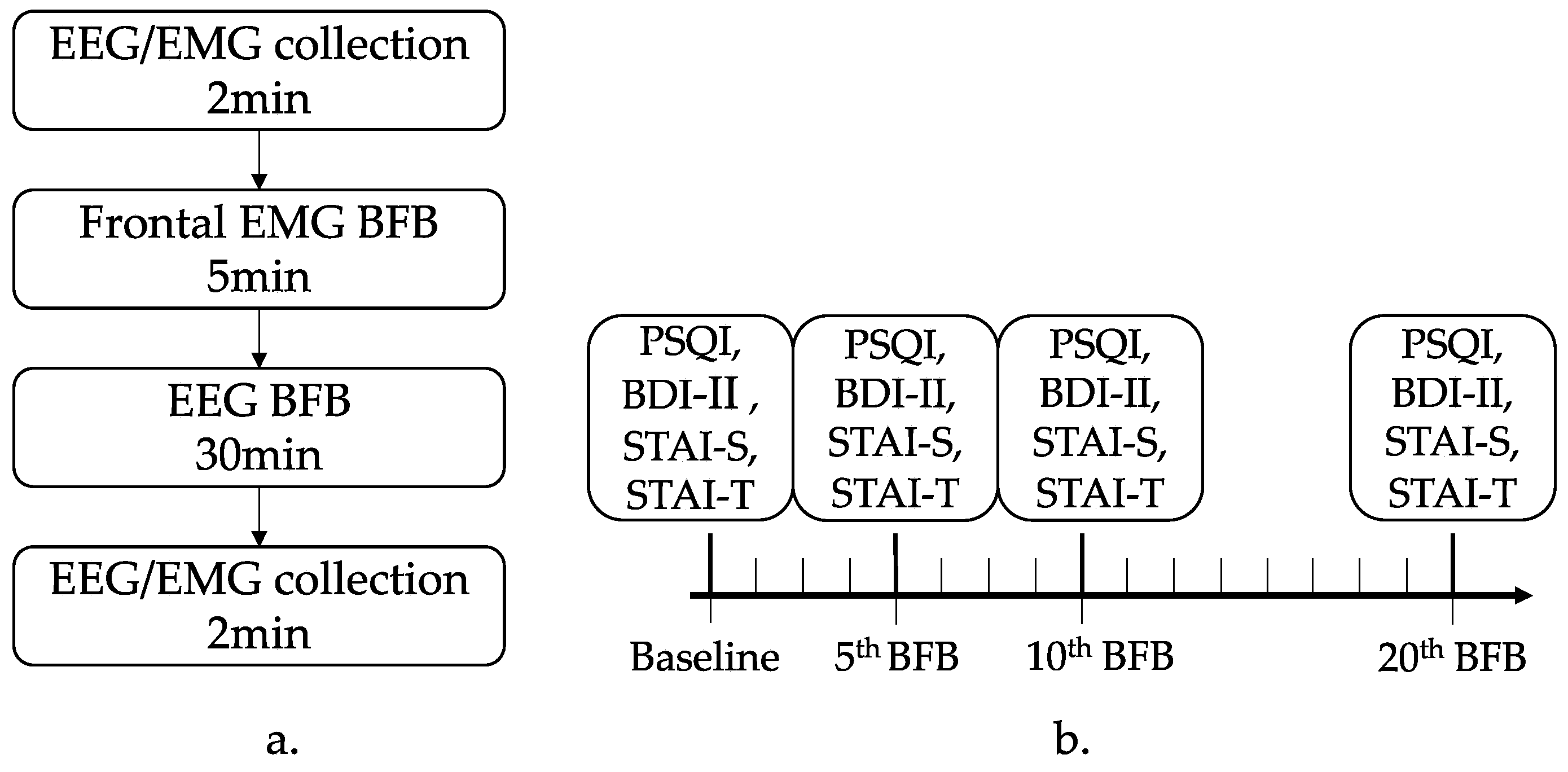 Brainsci 13 01542 g002