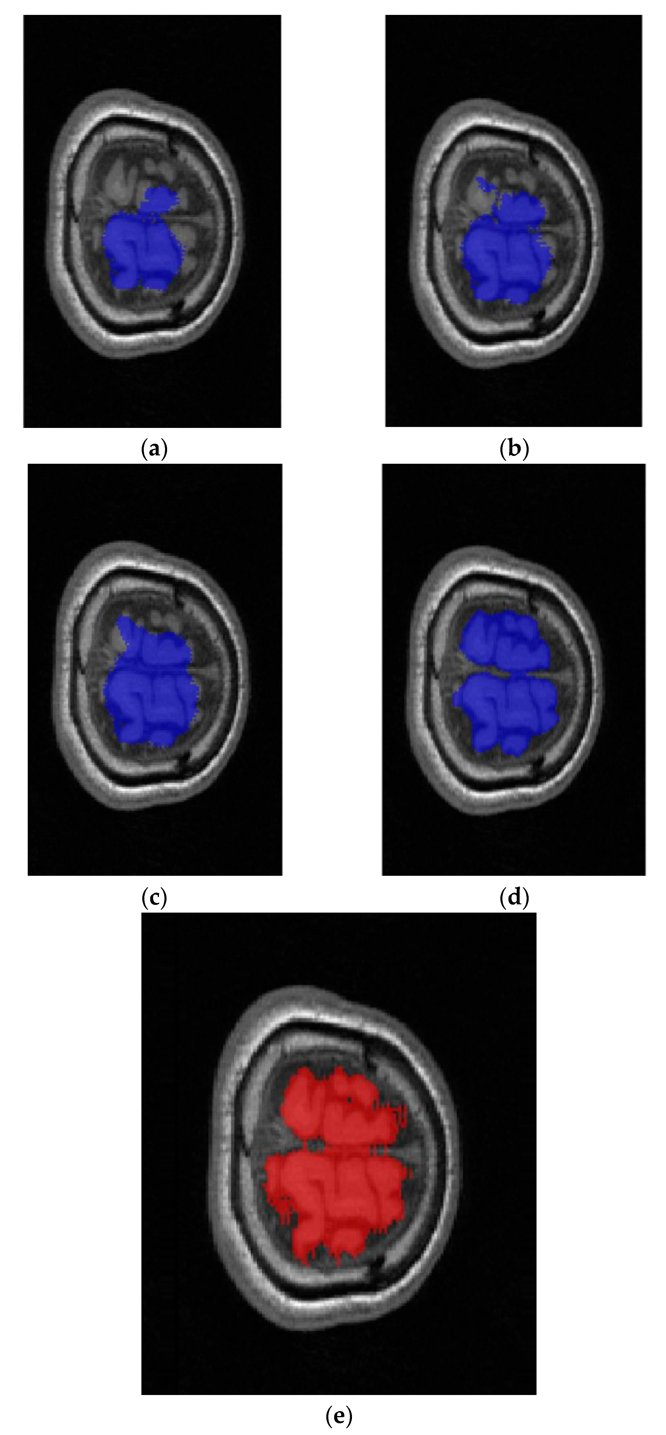 Brainsci 13 01549 g010