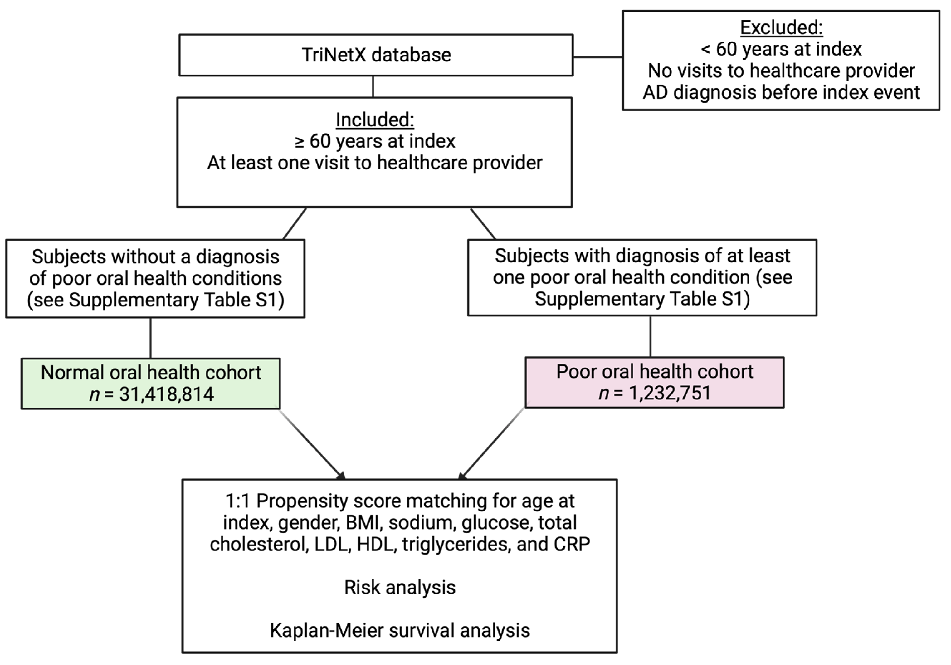 Brainsci 13 01555 g001