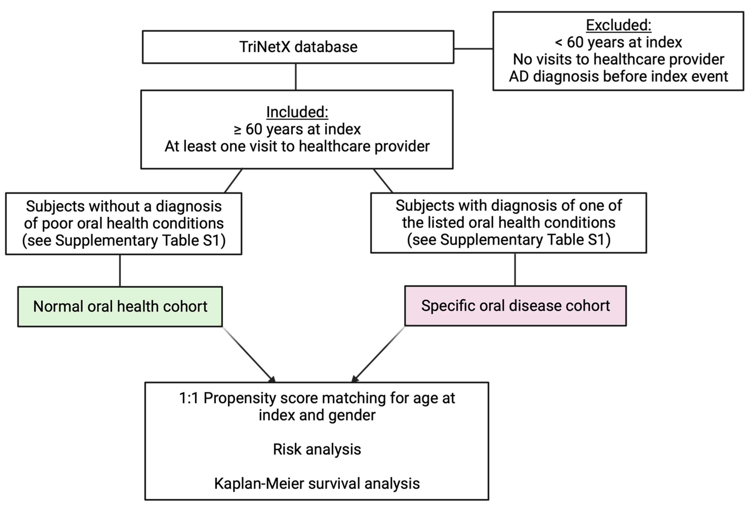 Brainsci 13 01555 g002