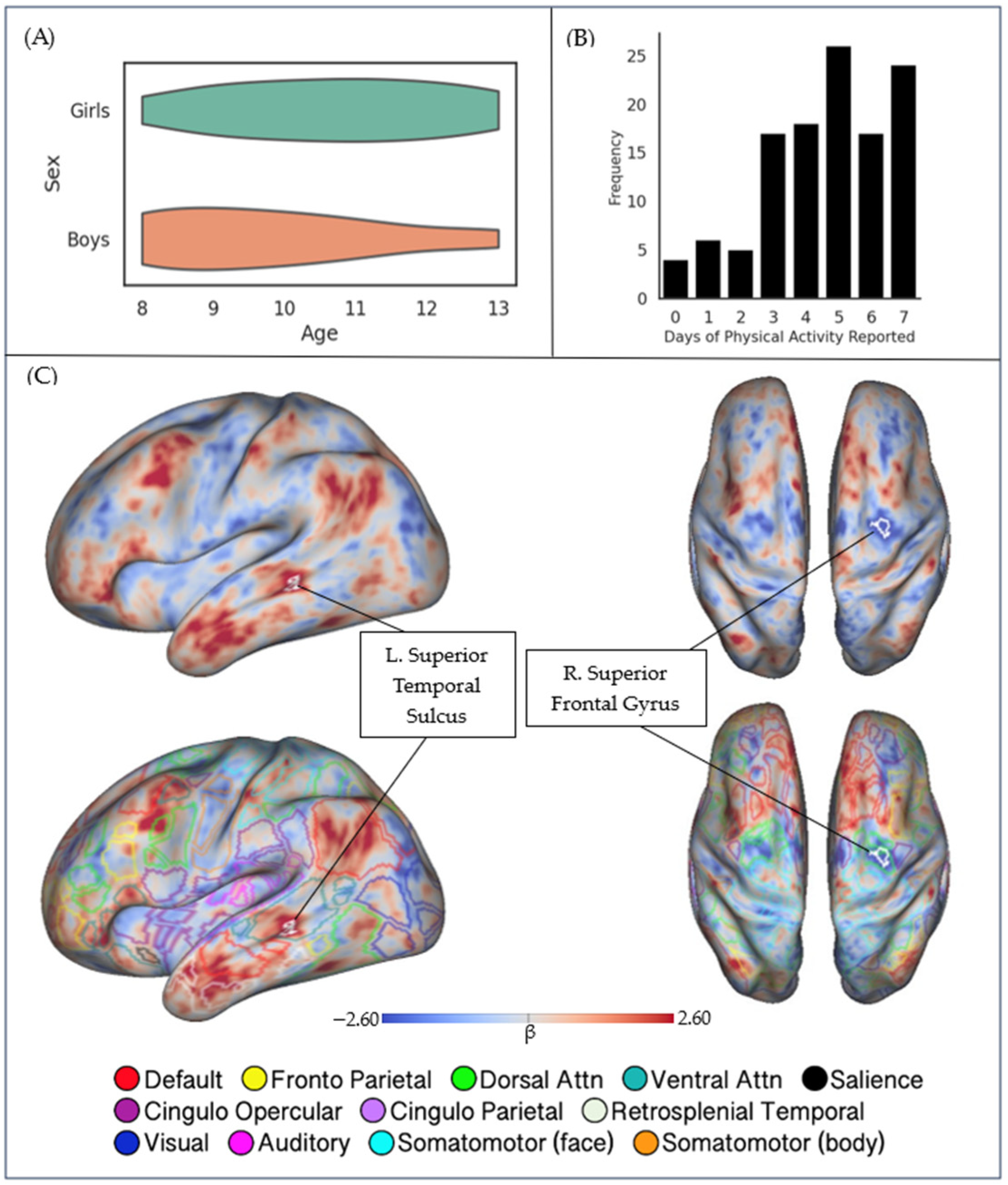 Brainsci 13 01558 g001