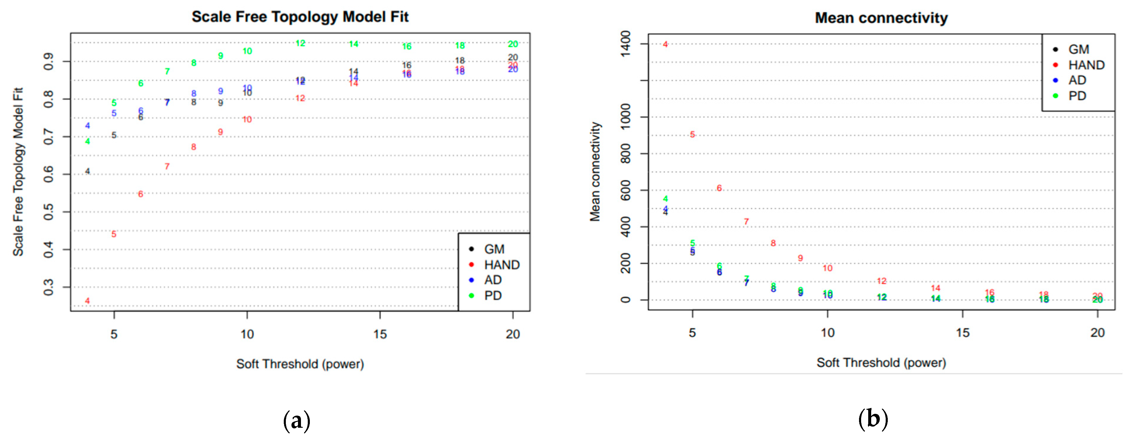Brainsci 13 01564 g001 Brainsci 13 01564 g001