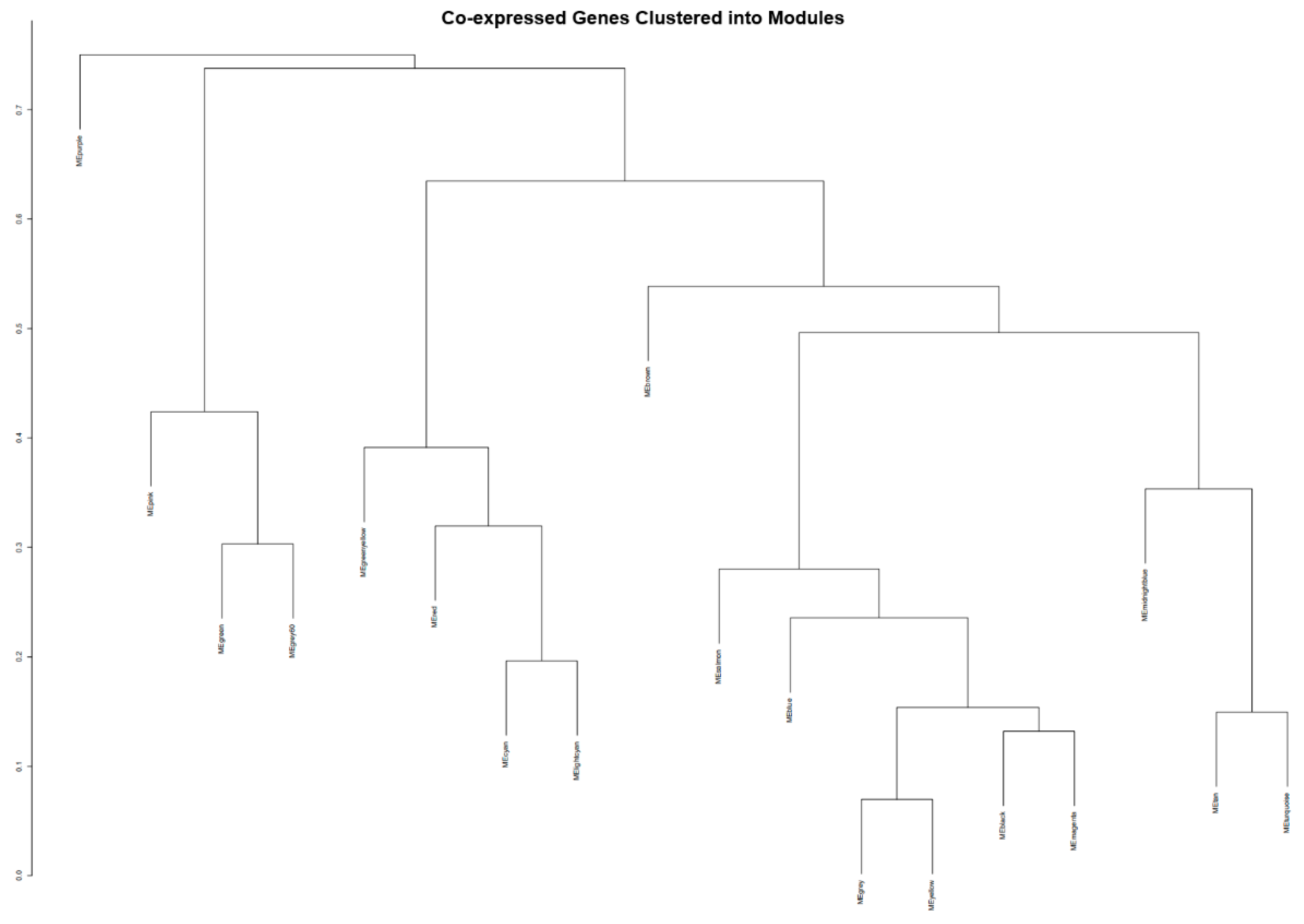 Brainsci 13 01564 g004 Brainsci 13 01564 g004