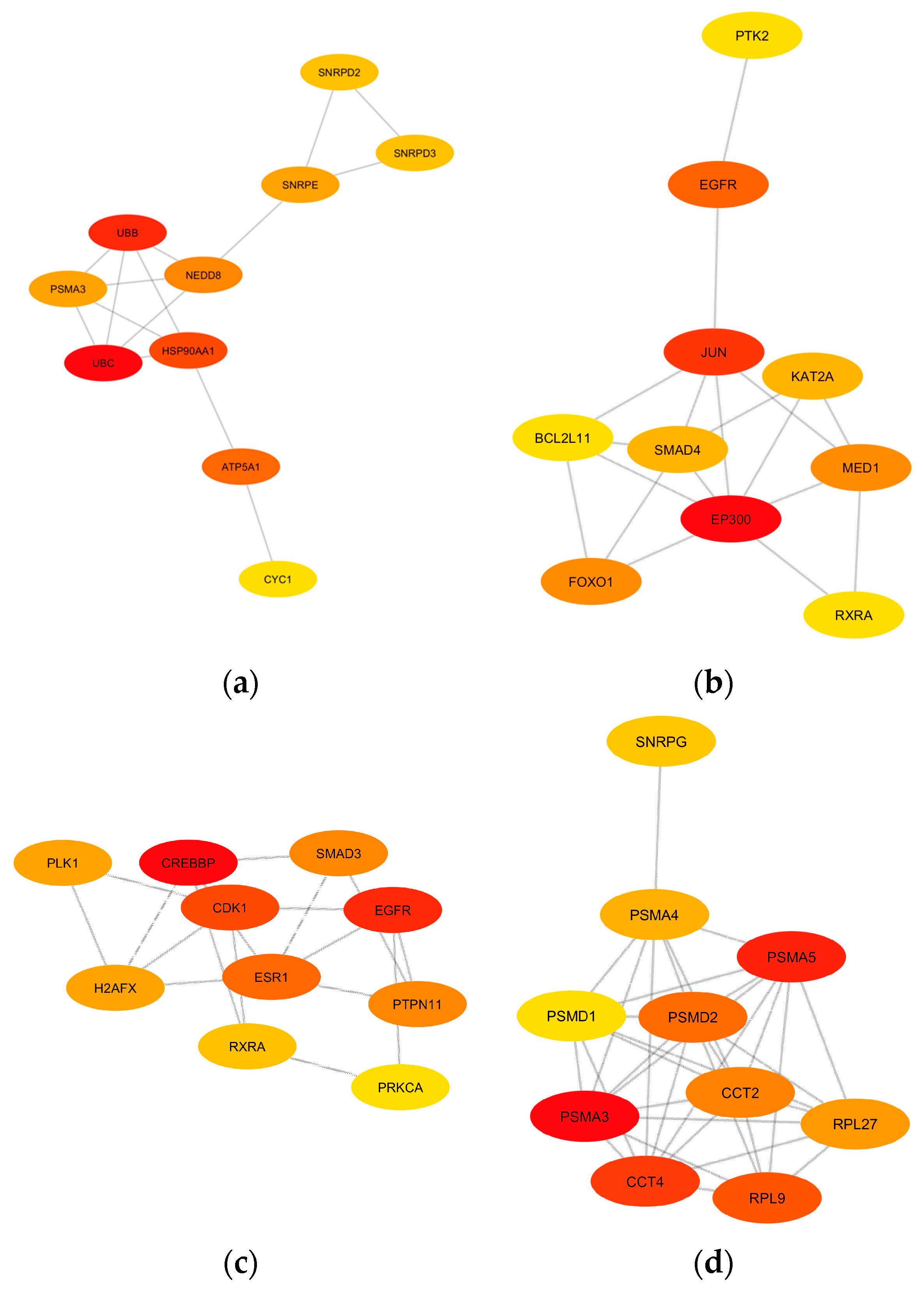 Brainsci 13 01564 g007 Brainsci 13 01564 g007