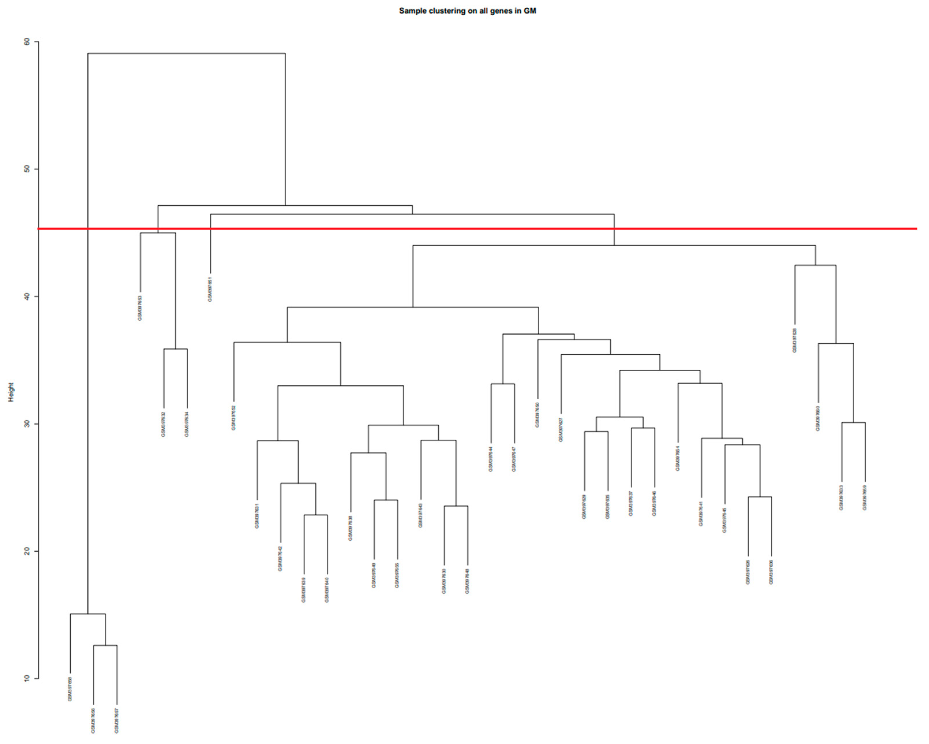 Brainsci 13 01564 g0a2 Brainsci 13 01564 g0a2