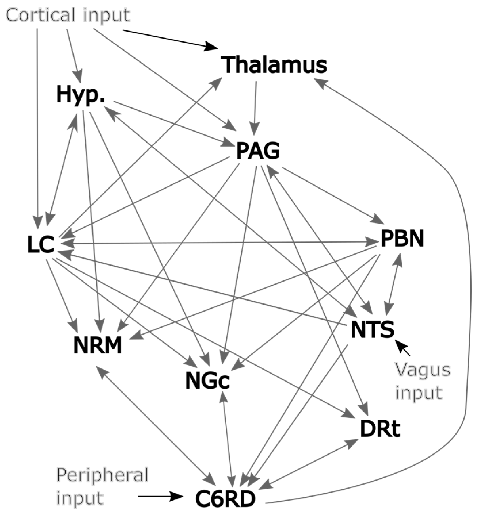 Brainsci 13 01568 g002 Brainsci 13 01568 g002
