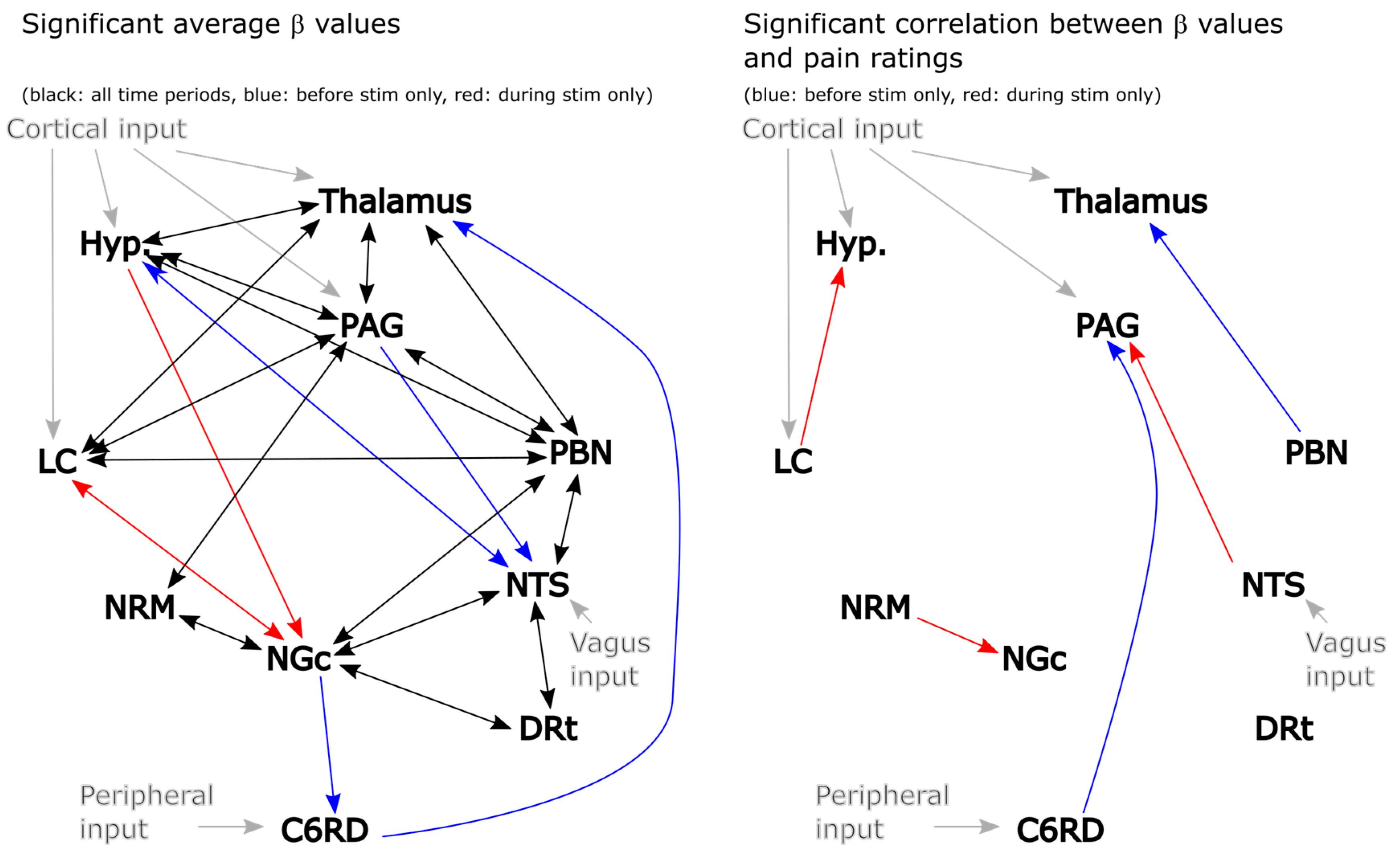 Brainsci 13 01568 g003 Brainsci 13 01568 g003