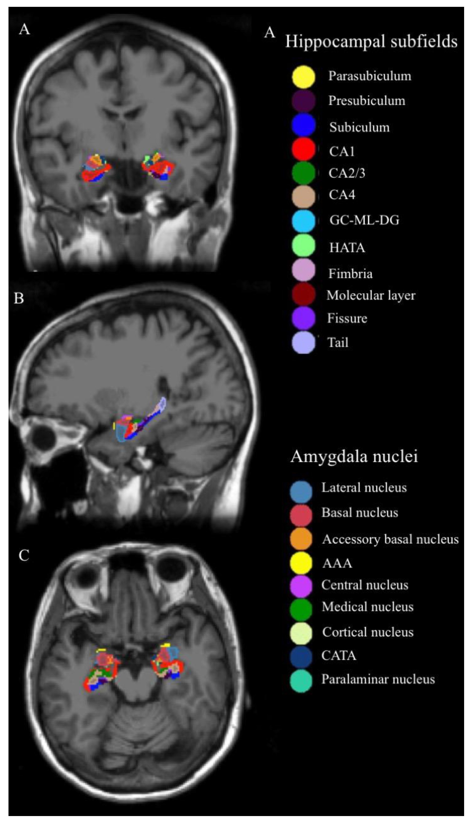 Brainsci 13 01582 g001