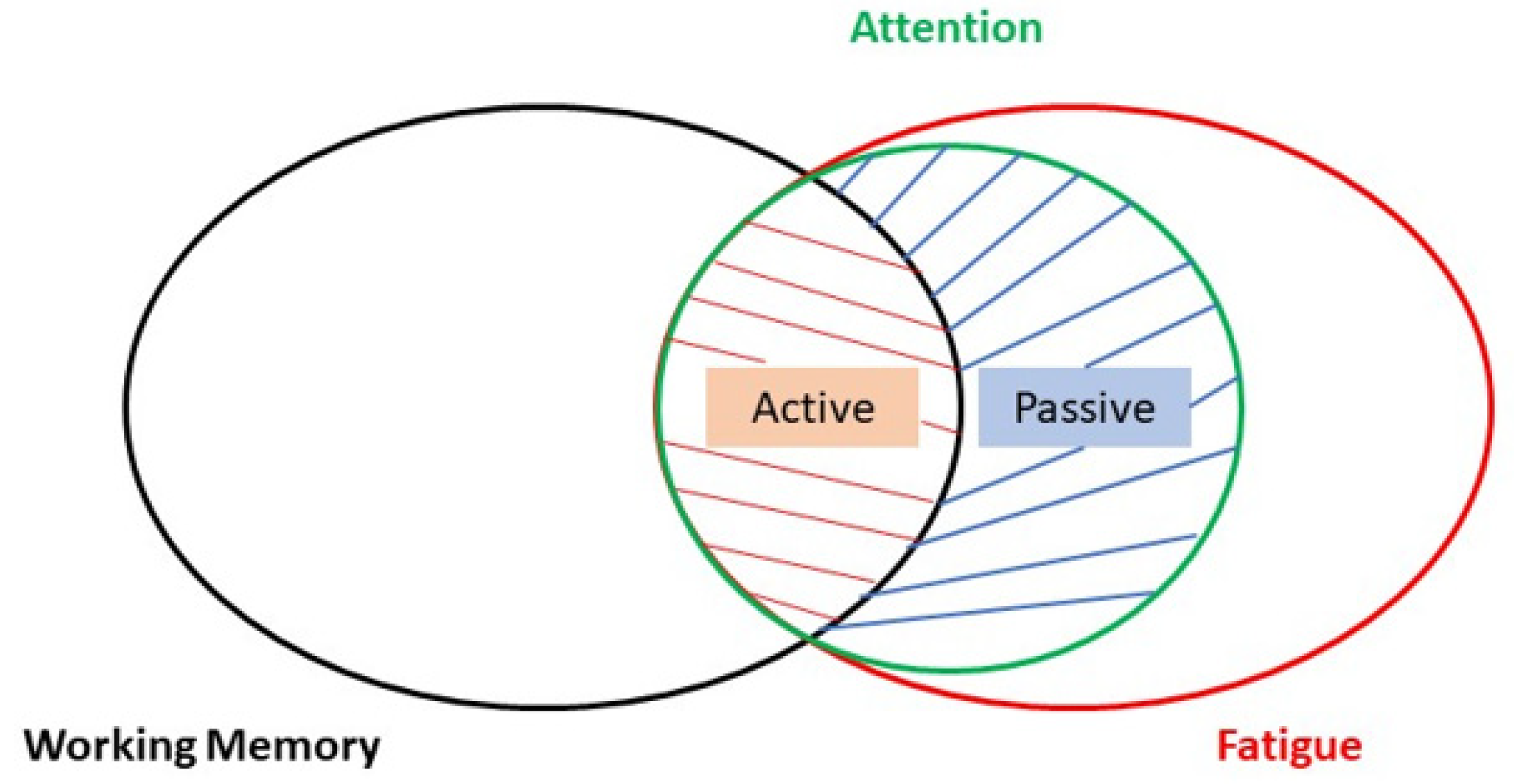 Brainsci 13 01584 g002
