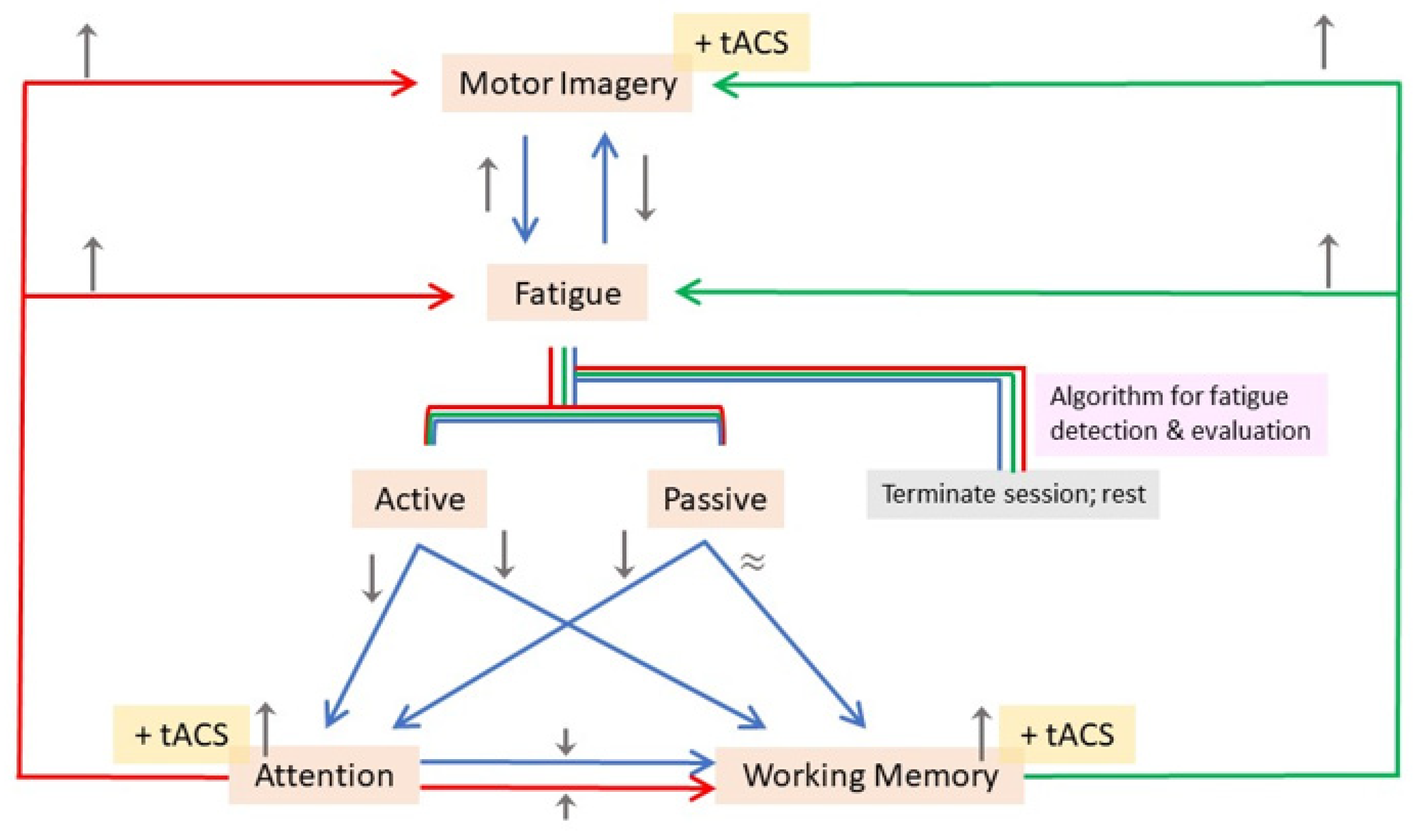 Brainsci 13 01584 g006