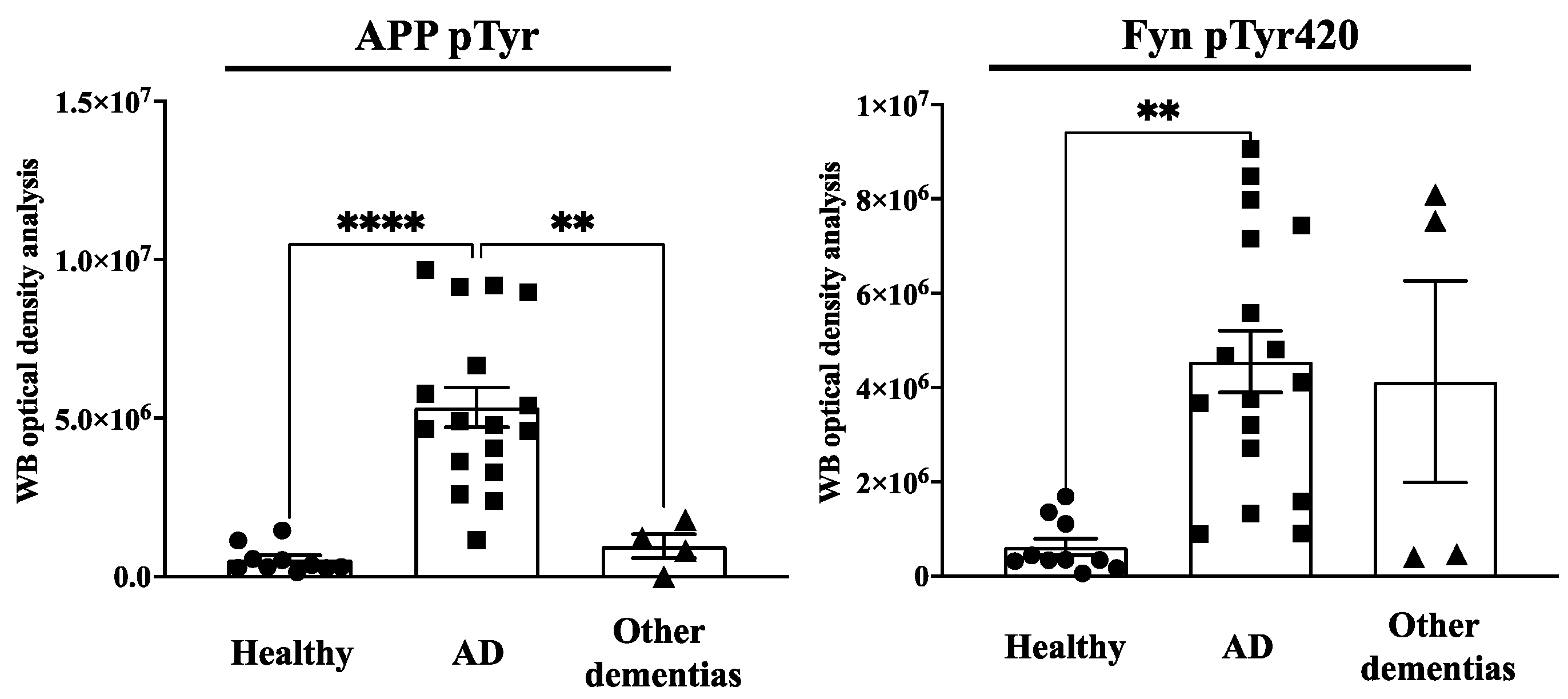 Brainsci 13 01588 g001