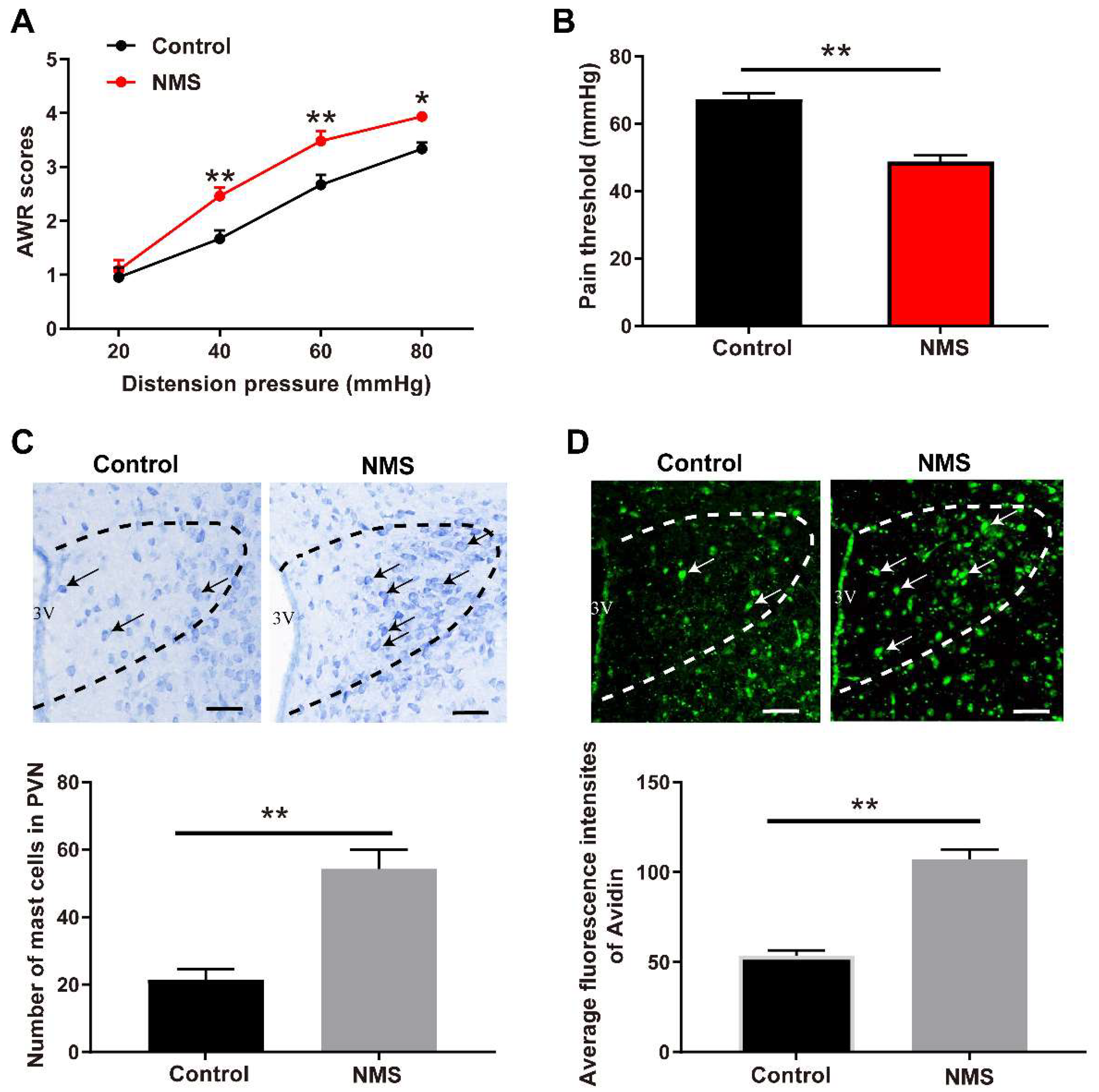 Brainsci 13 01595 g001