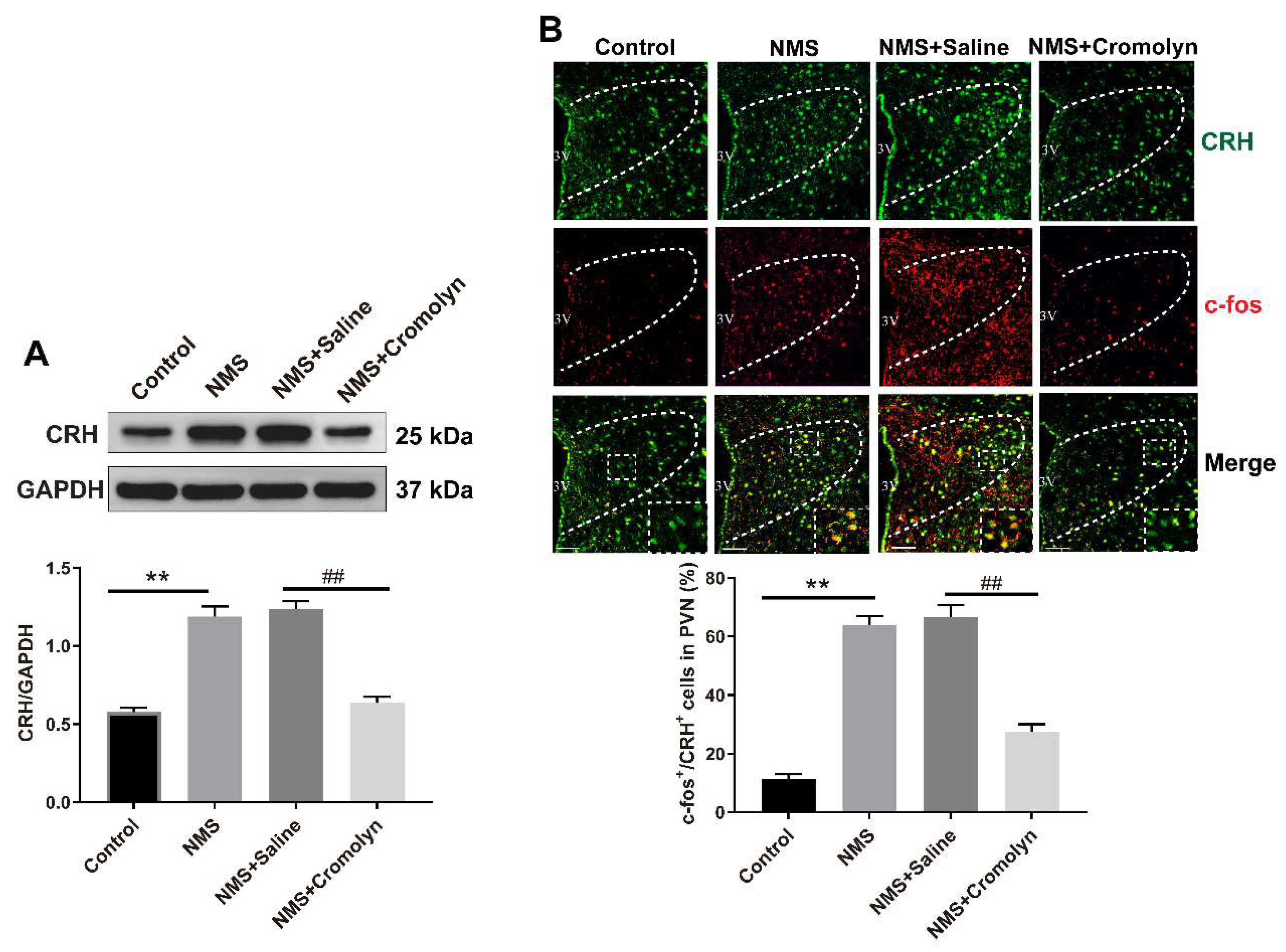 Brainsci 13 01595 g003
