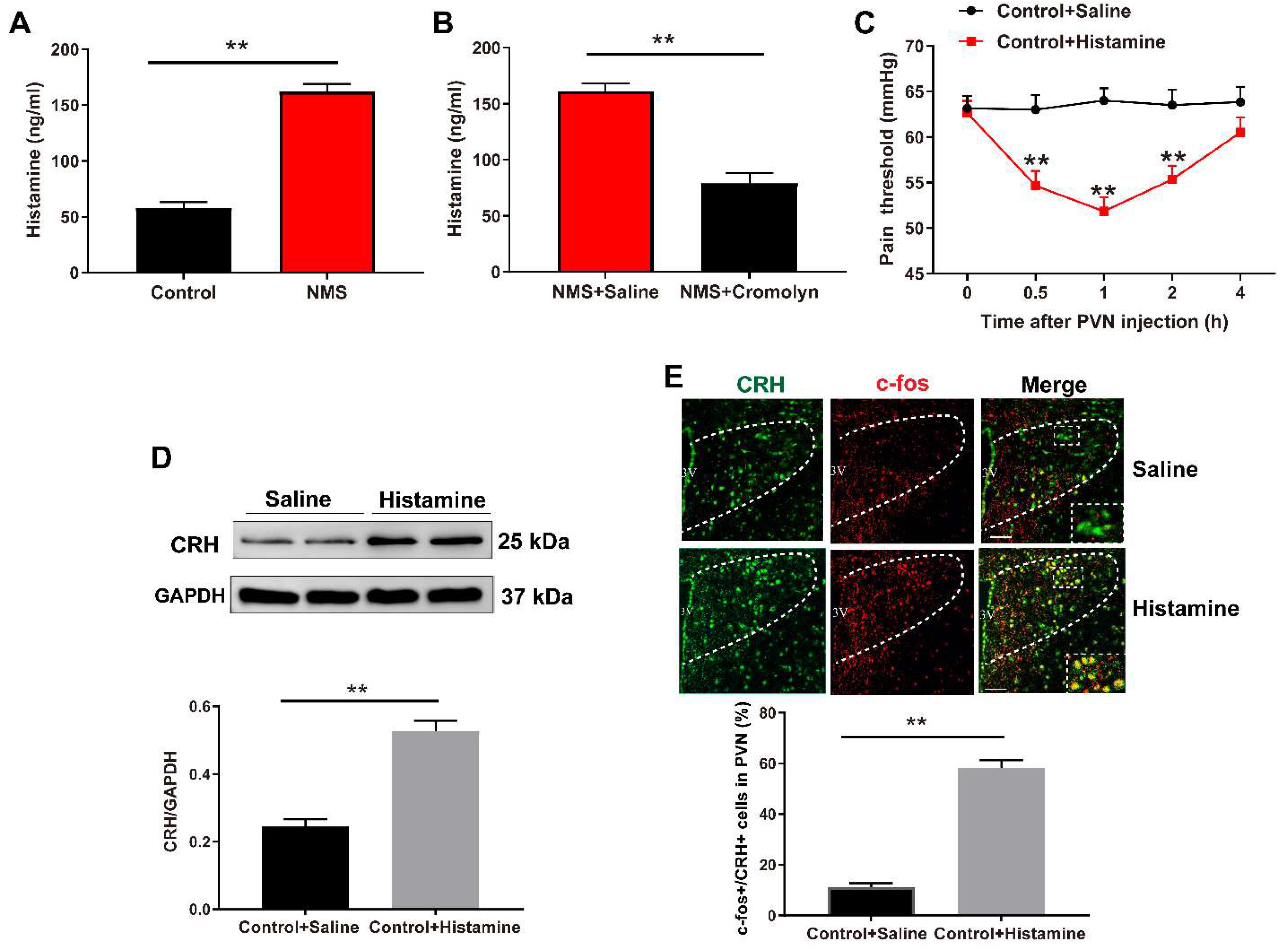 Brainsci 13 01595 g004