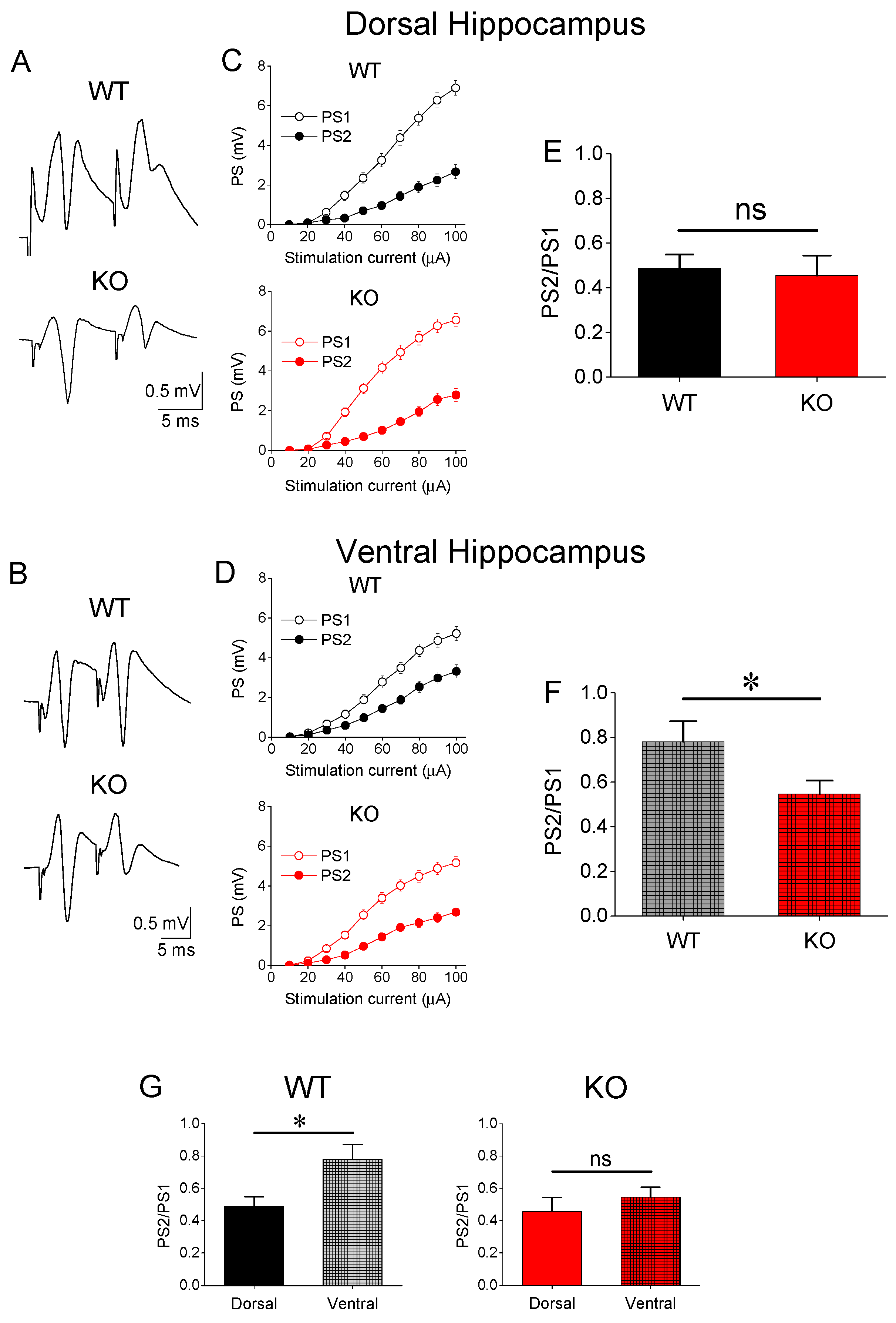 Brainsci 13 01598 g002