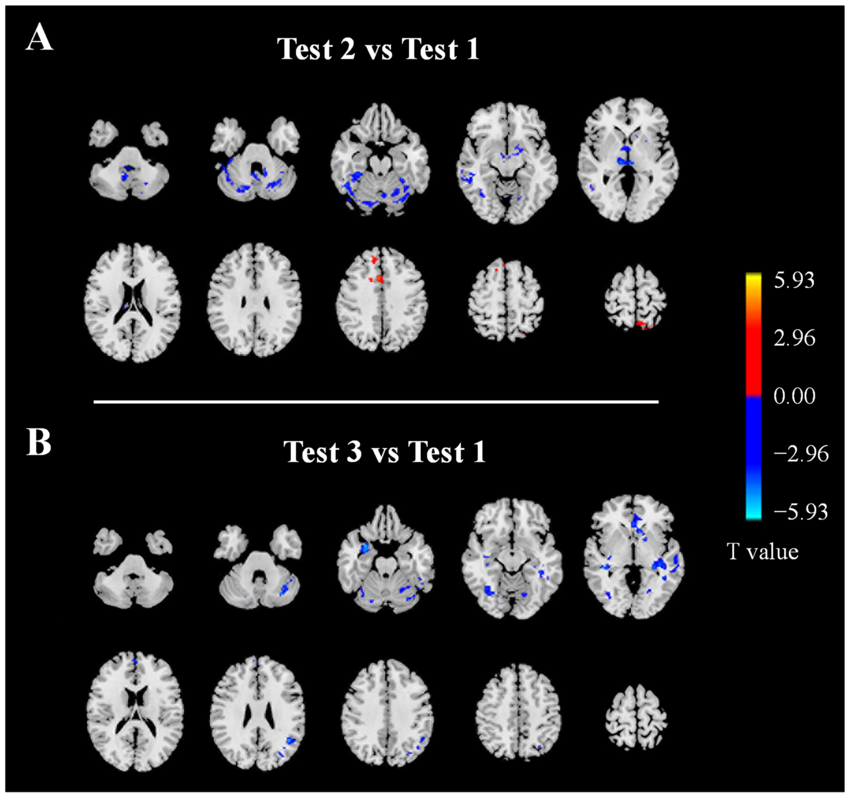 Brainsci 13 01600 g003
