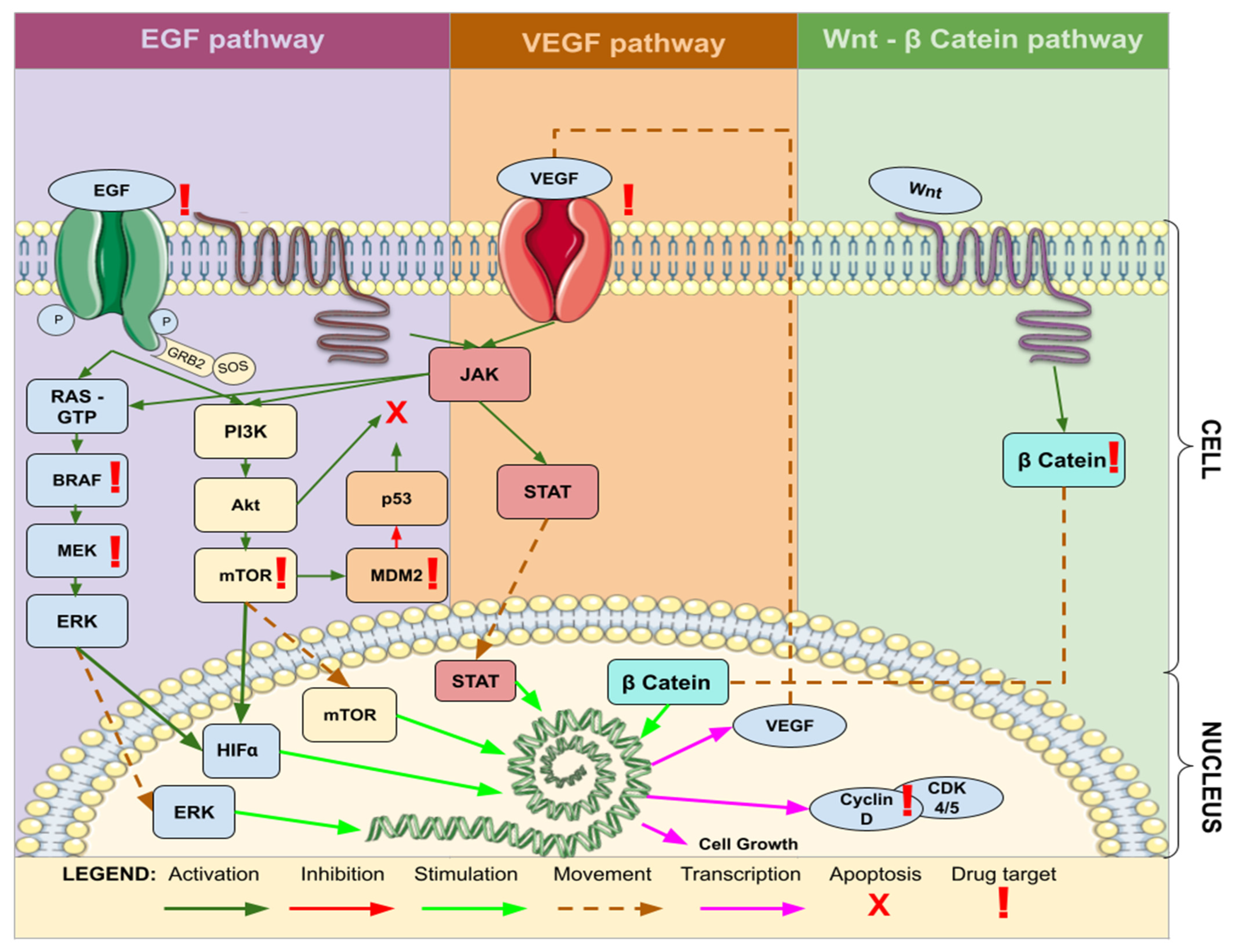 Brainsci 13 01602 g005 Brainsci 13 01602 g005