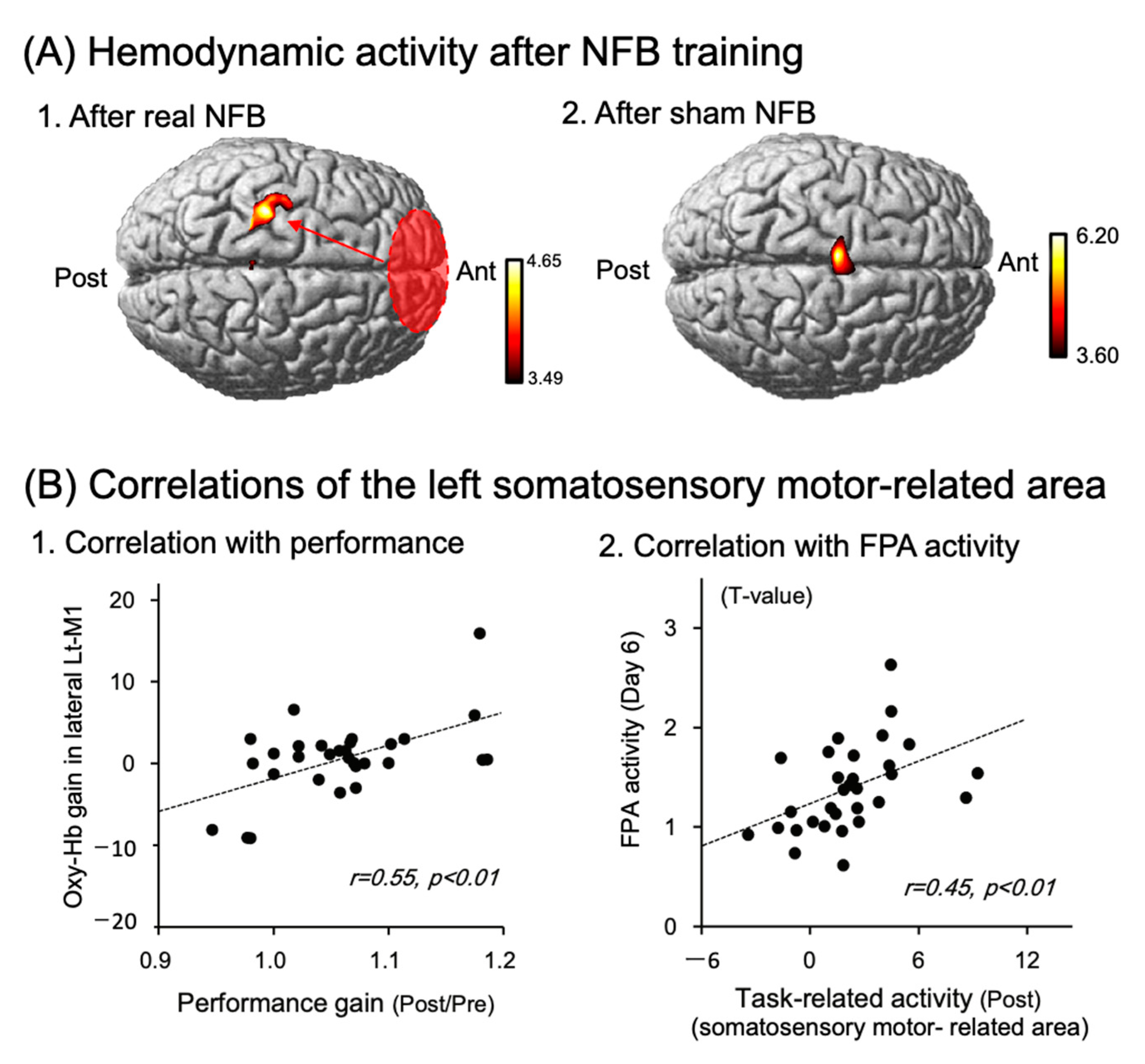 Brainsci 13 01604 g004