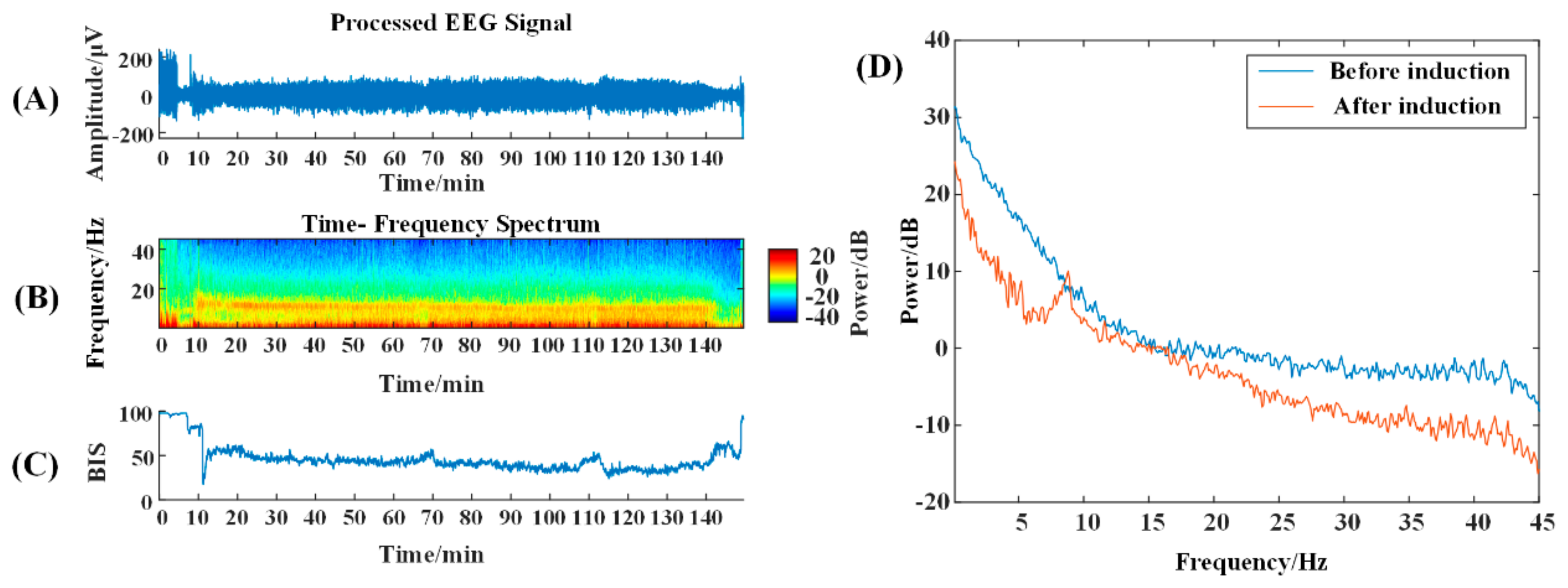 Brainsci 13 01608 g001 Brainsci 13 01608 g001