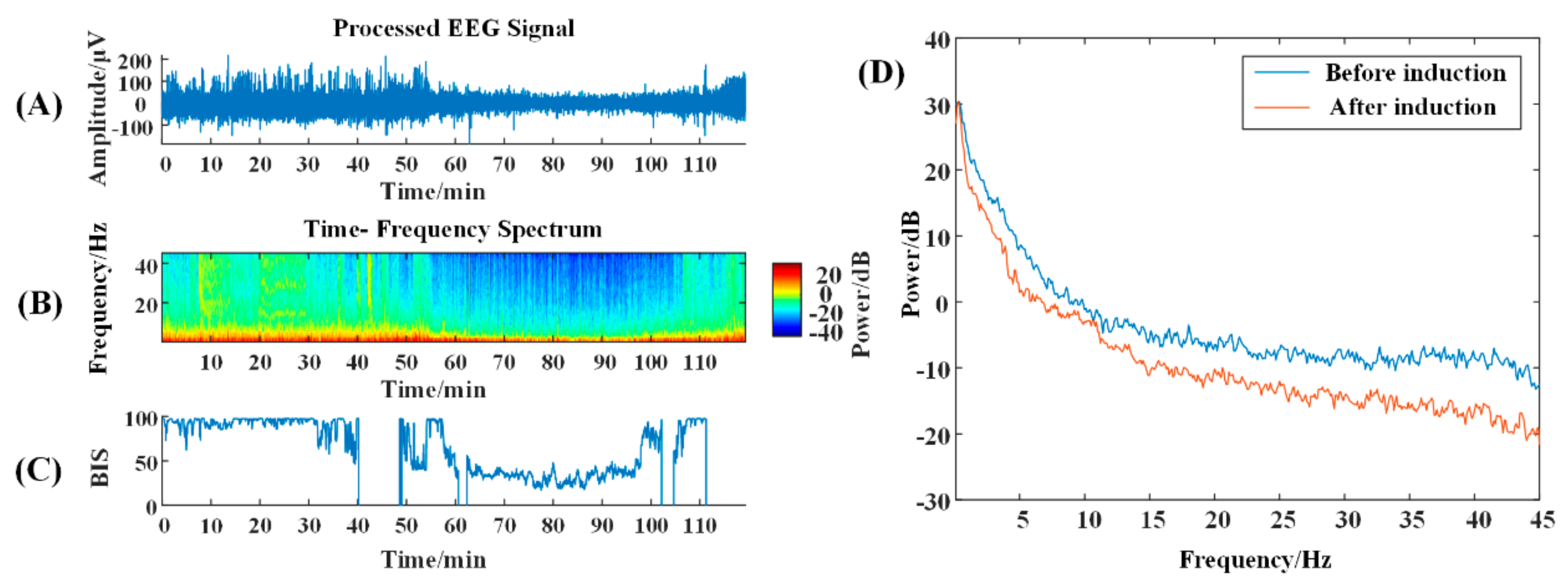 Brainsci 13 01608 g002 Brainsci 13 01608 g002