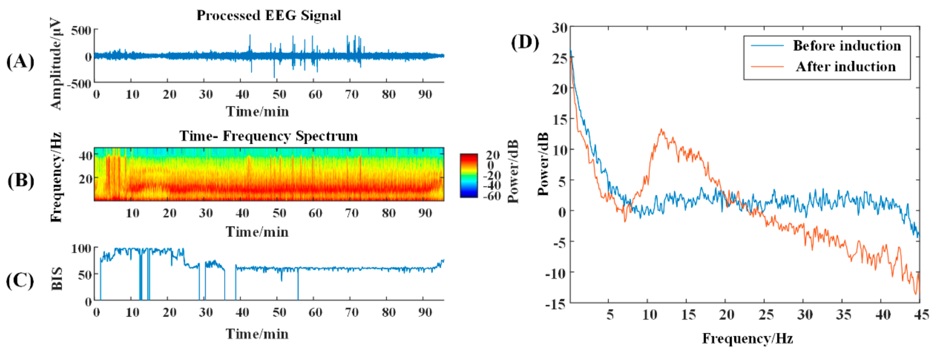 Brainsci 13 01608 g003 Brainsci 13 01608 g003