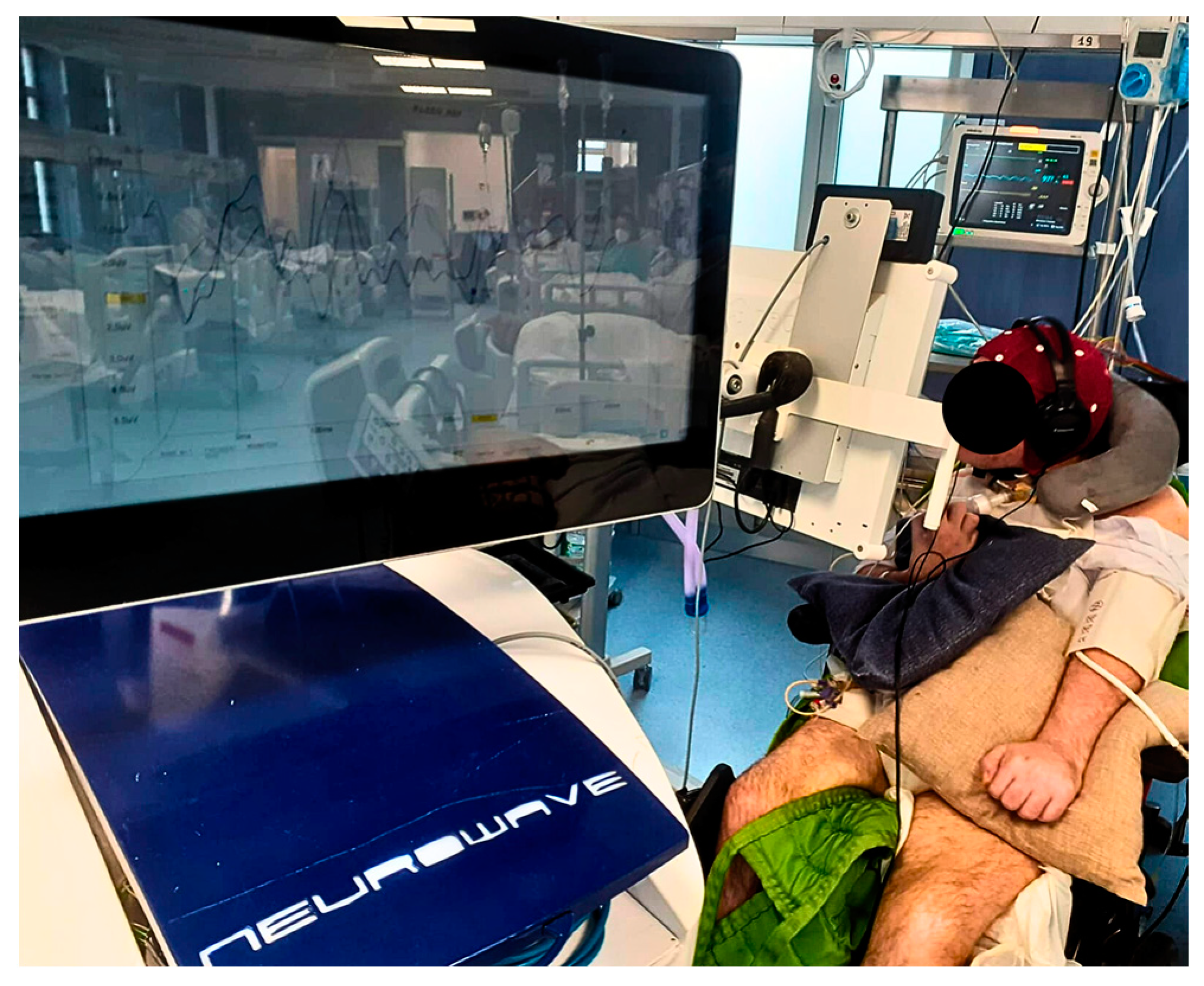 Brainsci 13 01619 g001