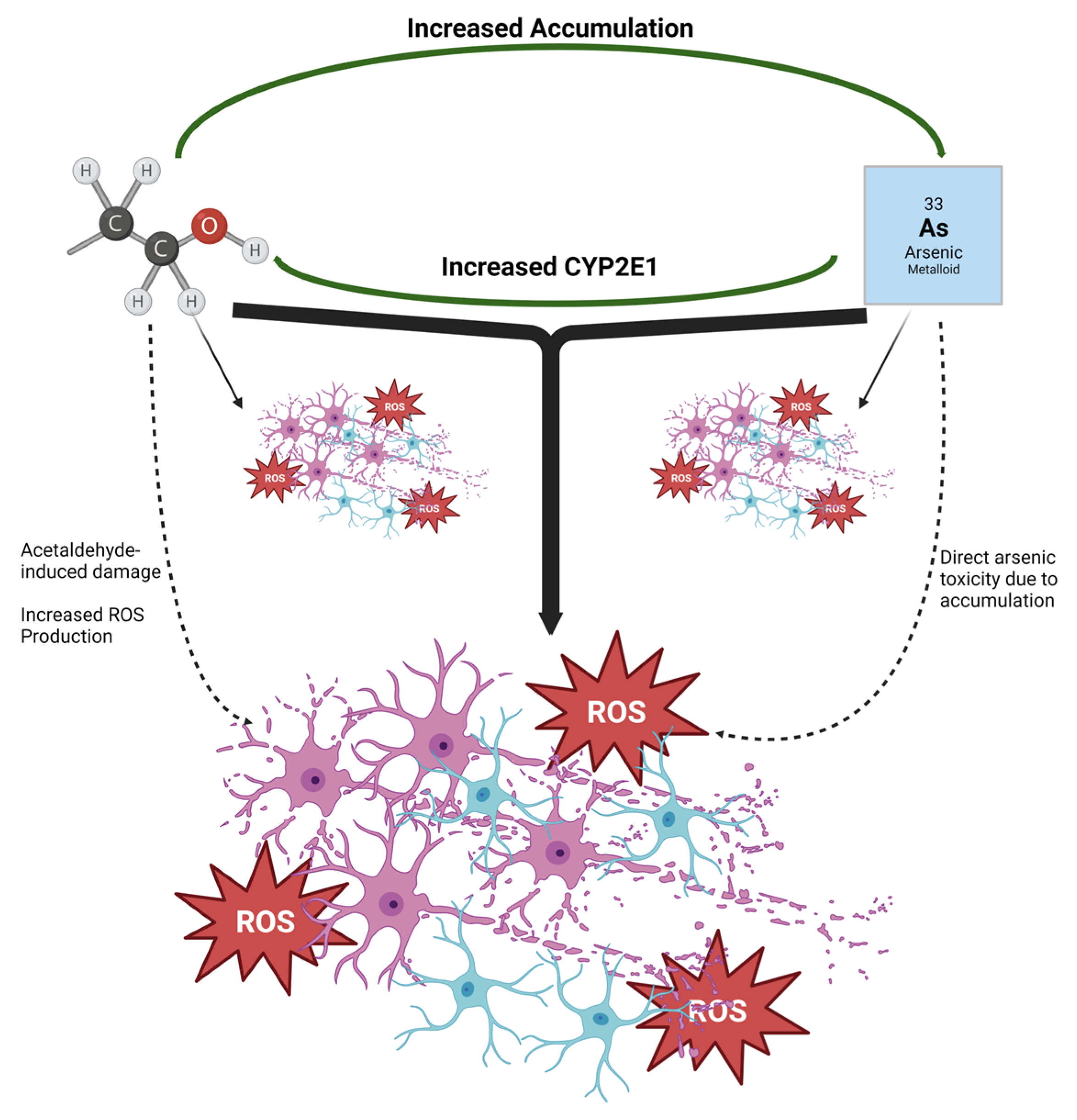 Brainsci 13 01633 g007 Brainsci 13 01633 g007