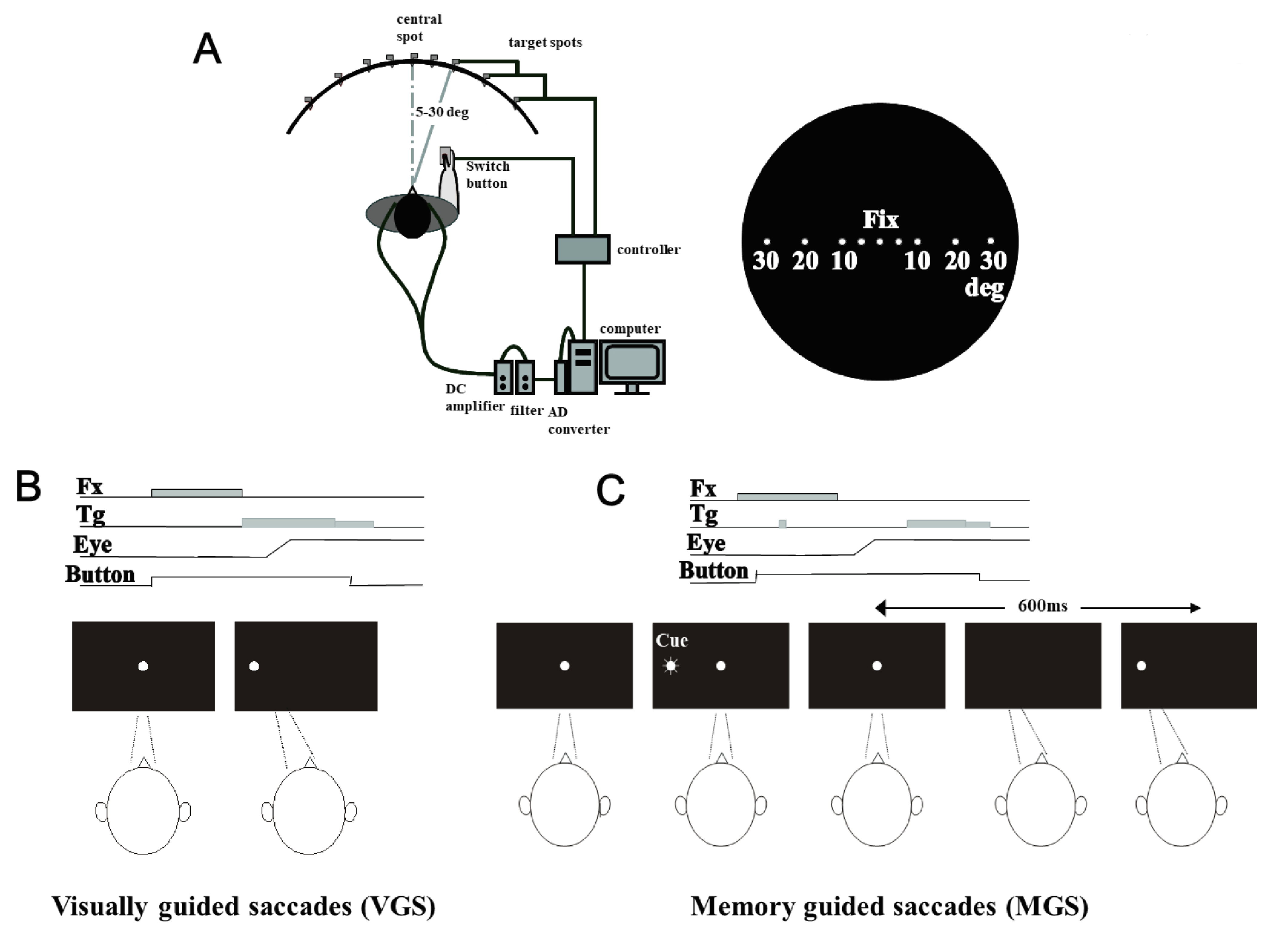 Brainsci 13 01634 g002