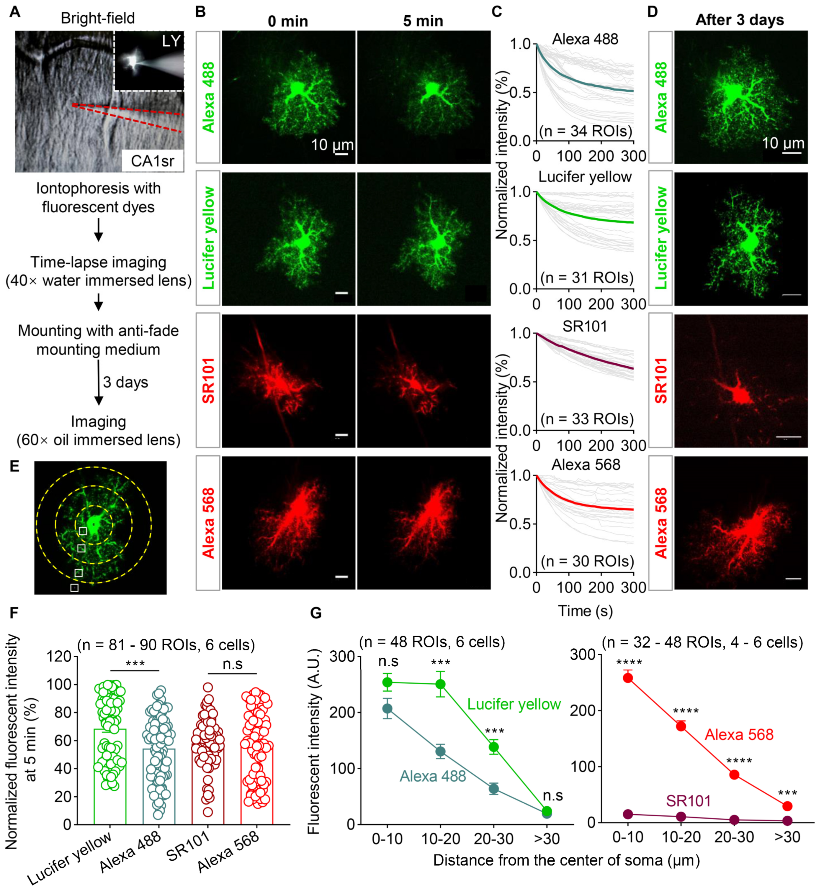 Brainsci 13 01644 g003