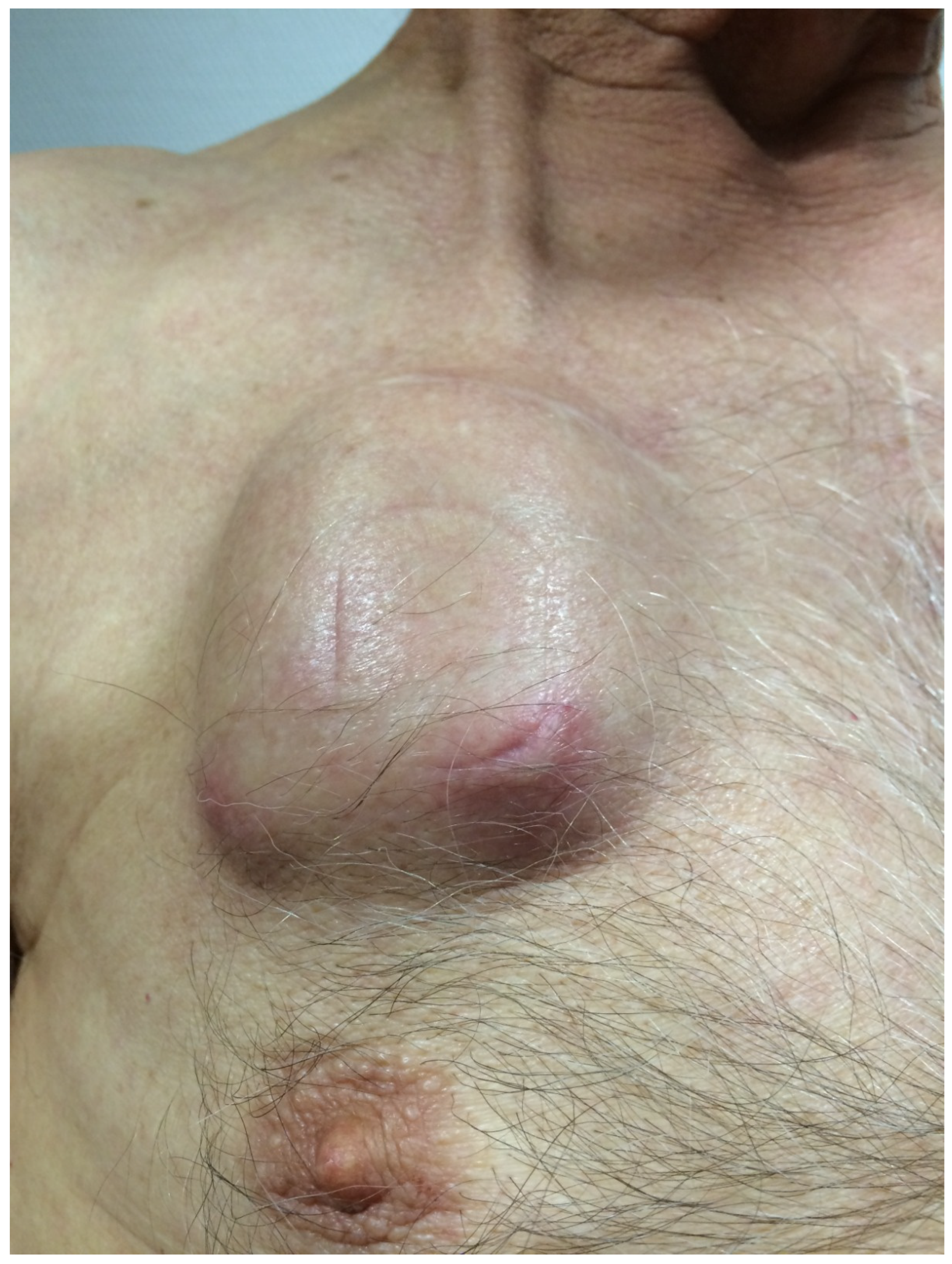 Brainsci 13 01650 g004