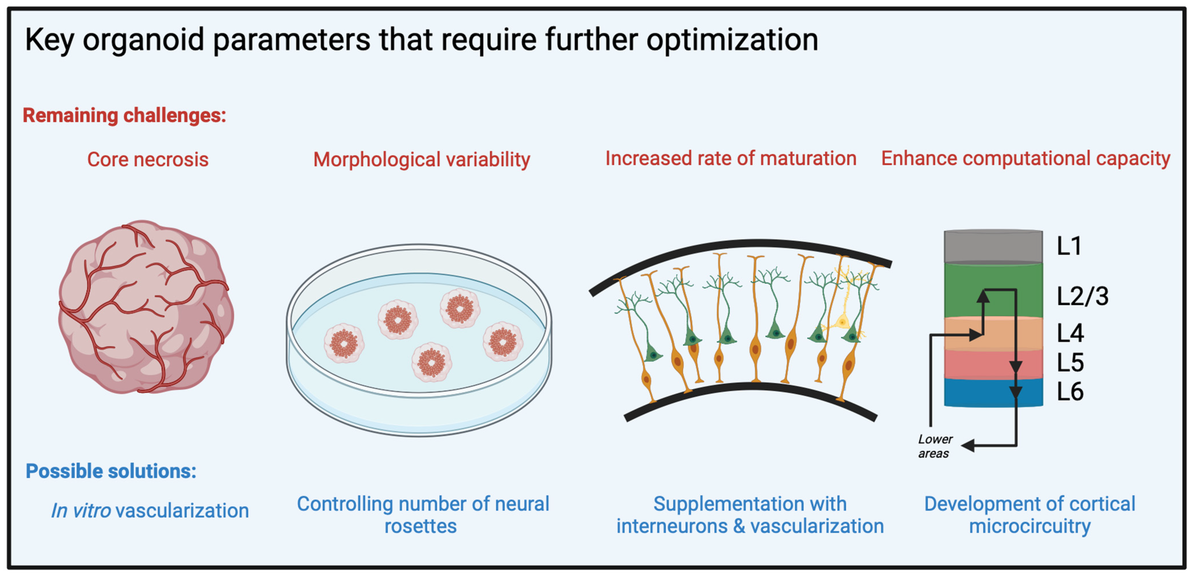 Brainsci 13 01654 g003
