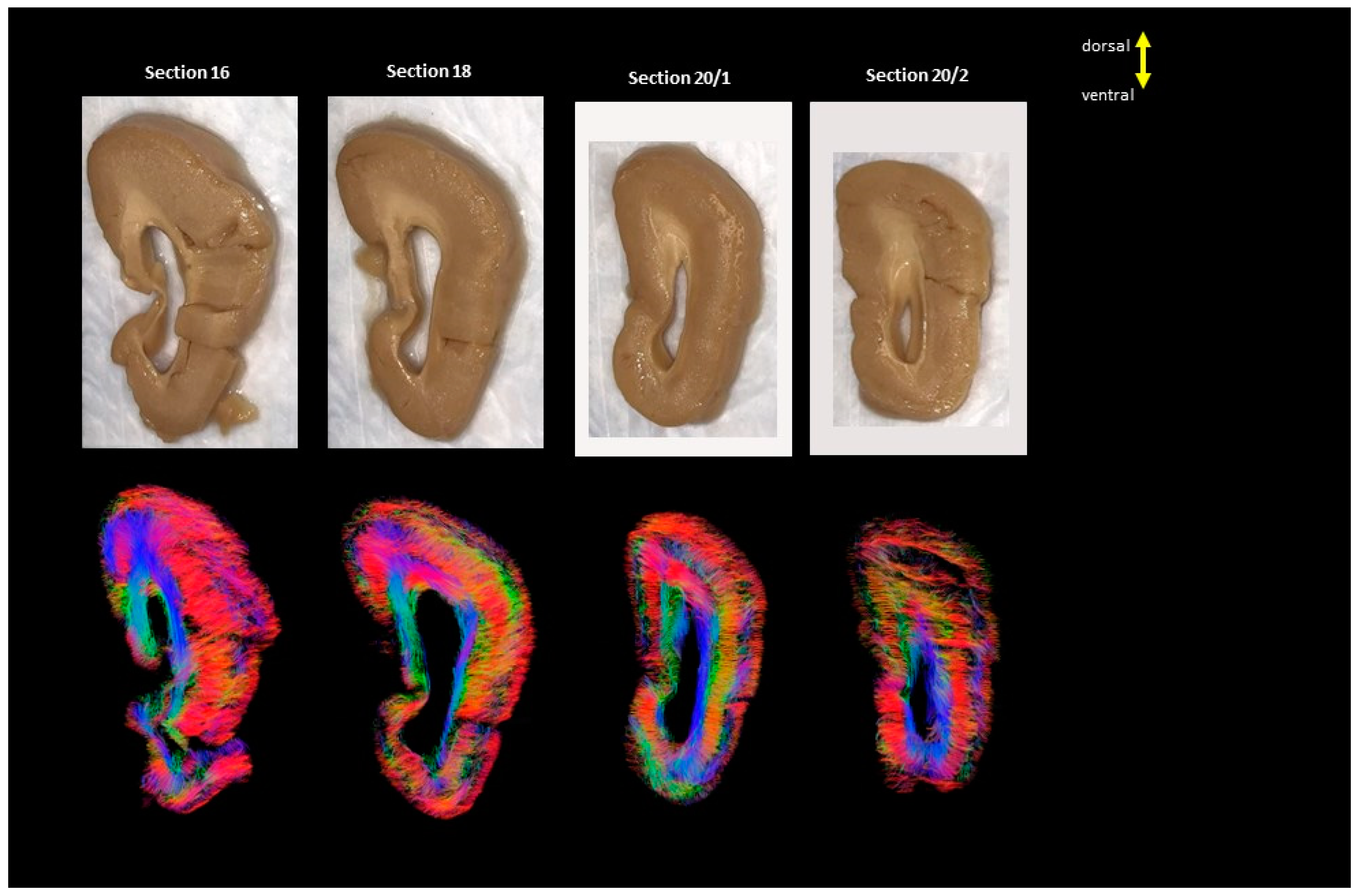 Brainsci 13 01655 g003