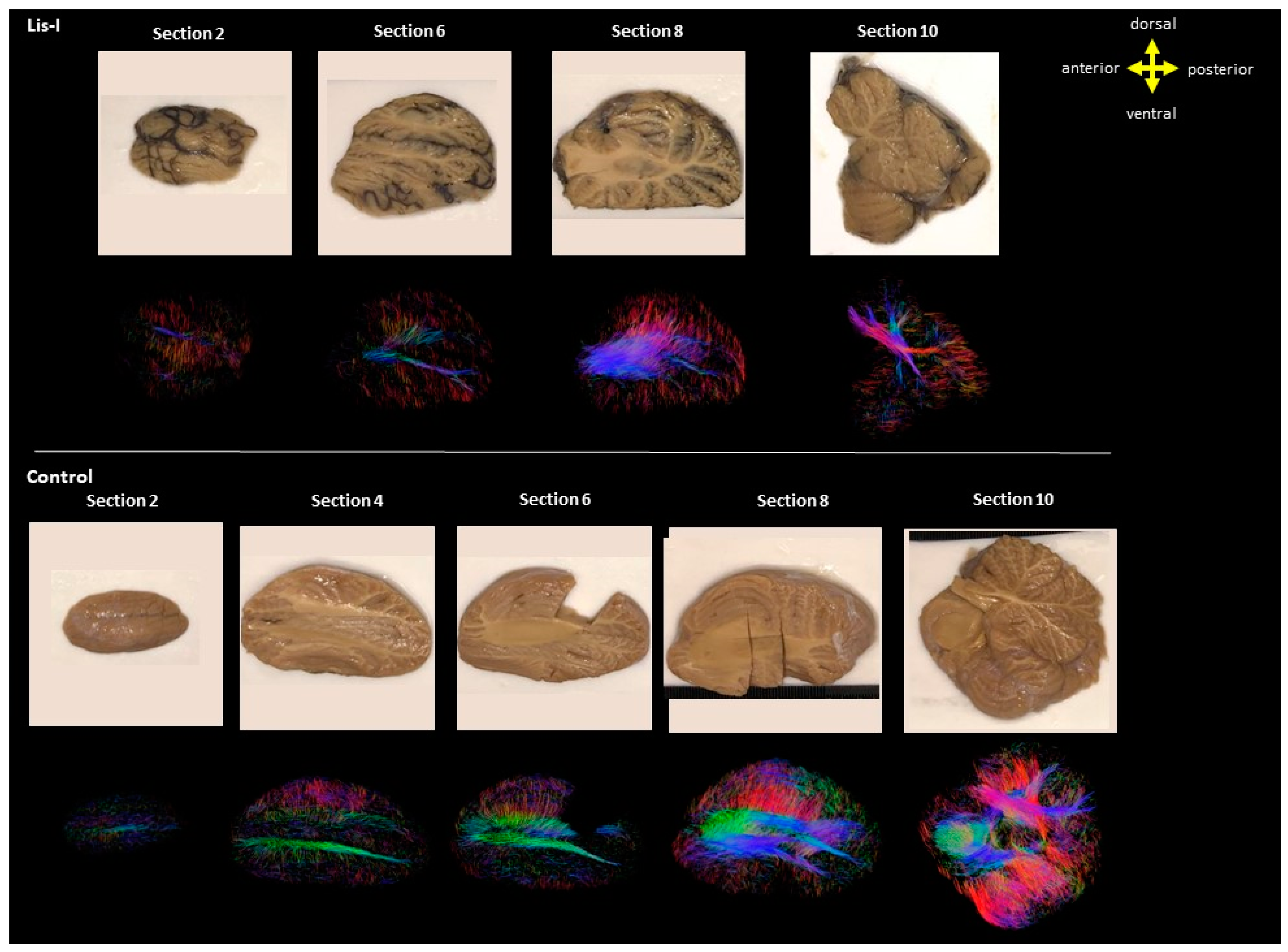Brainsci 13 01655 g009