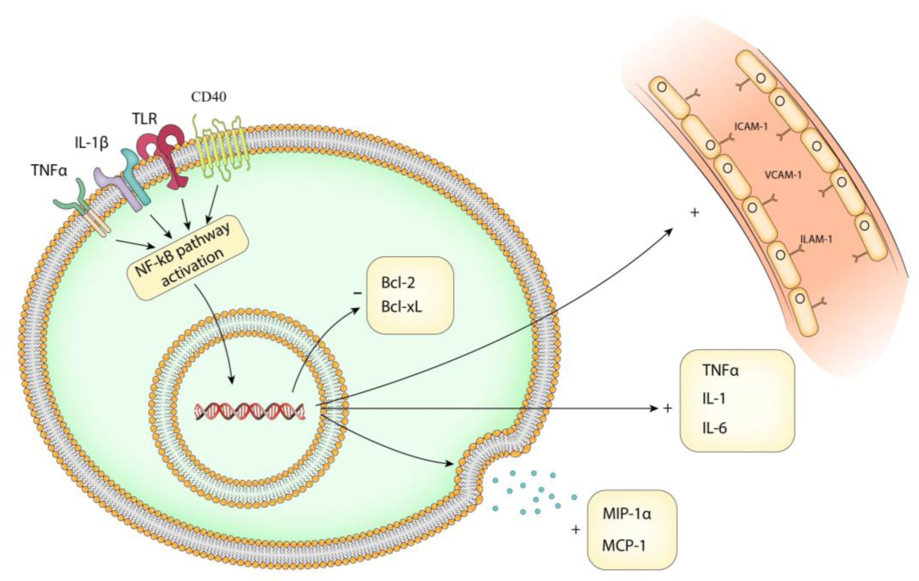 Brainsci 13 01660 g003