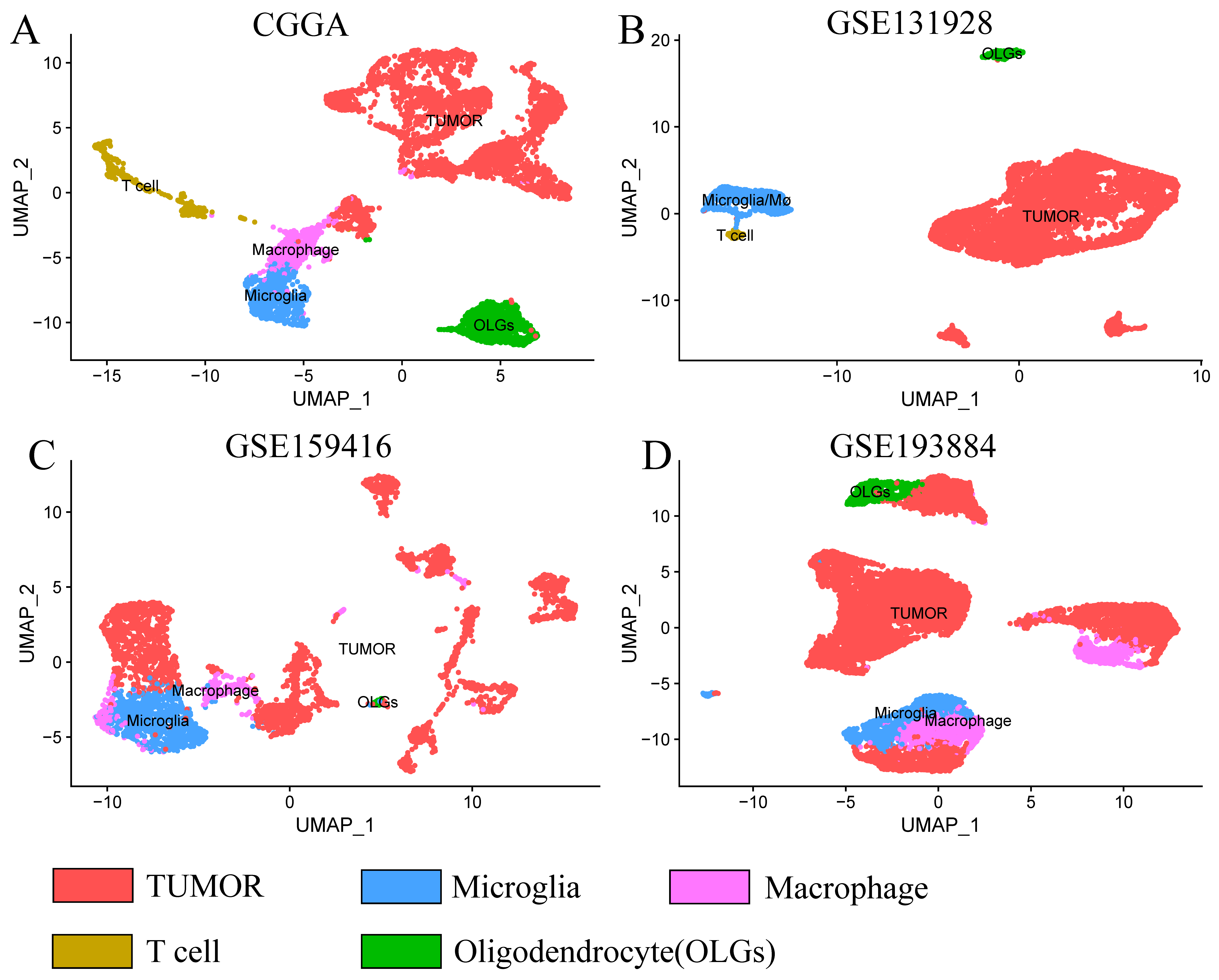 Brainsci 13 01667 g001