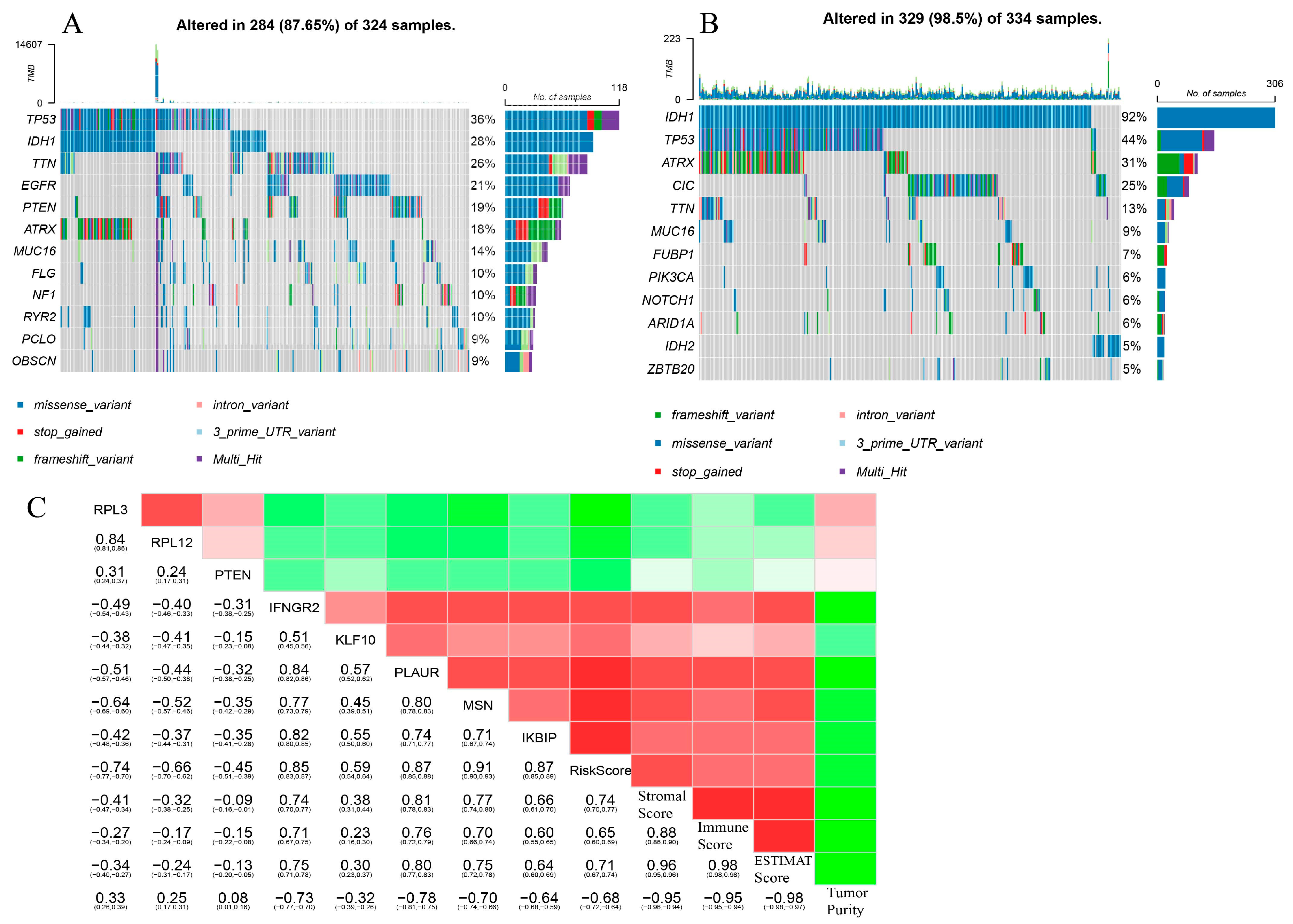 Brainsci 13 01667 g006